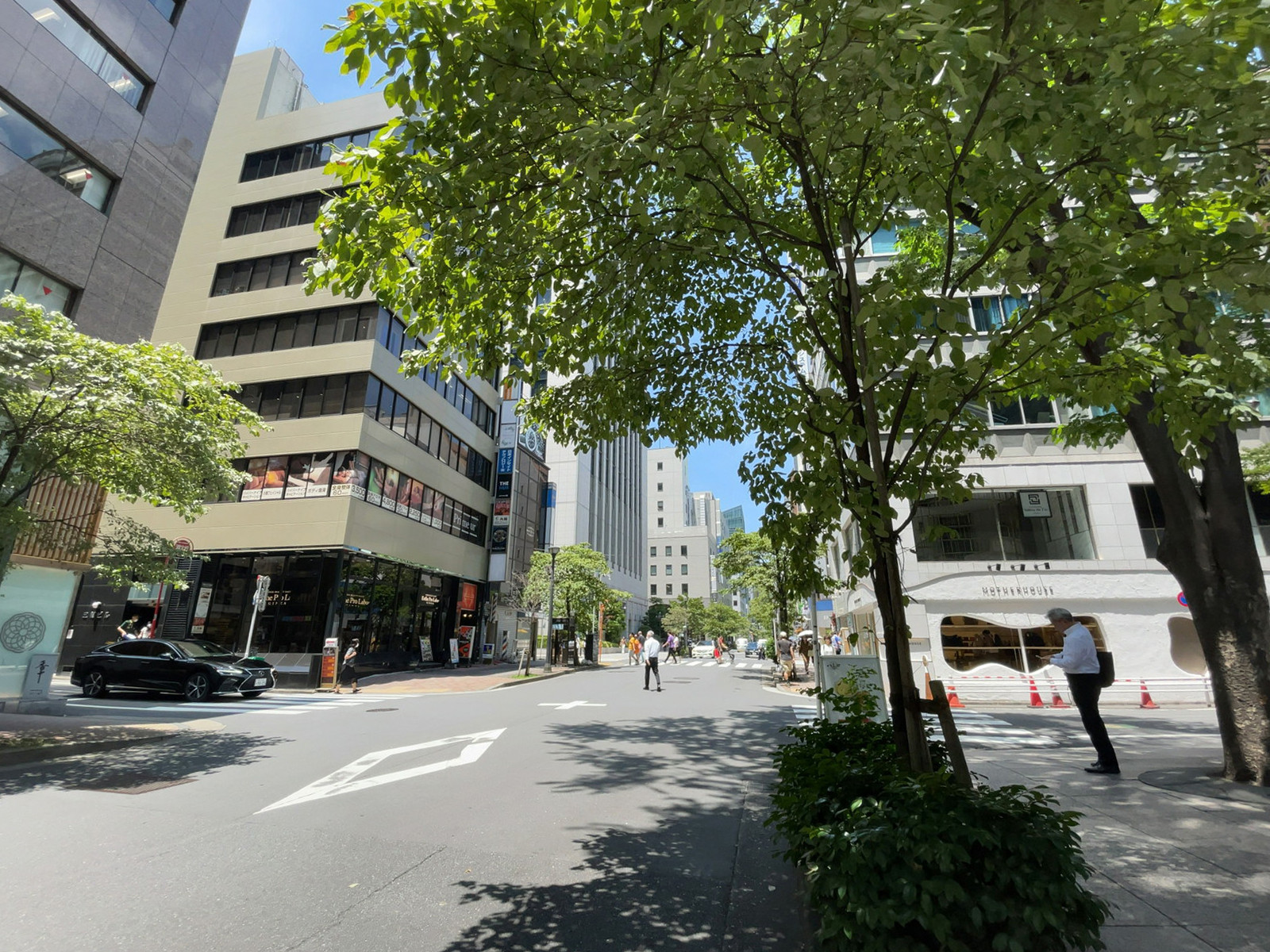 紙パルプ会館前面の通り