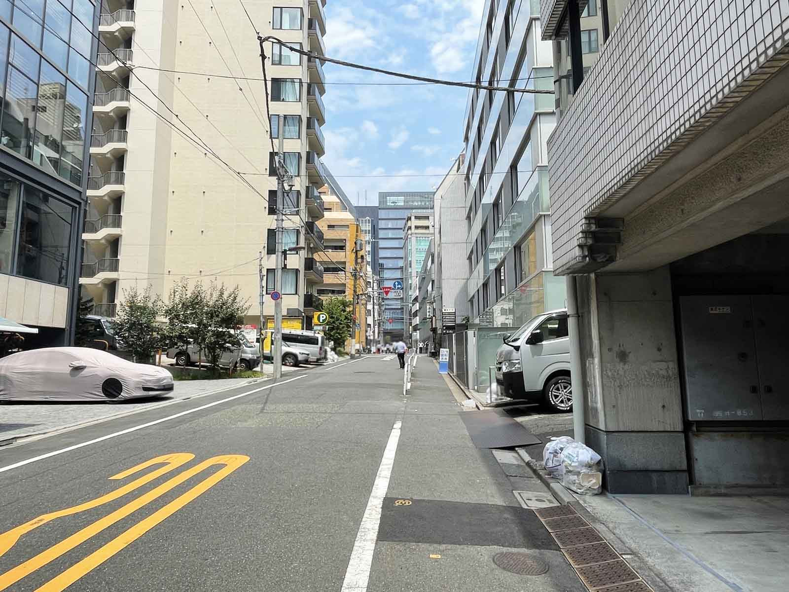 柳下フラッツ前面の通り