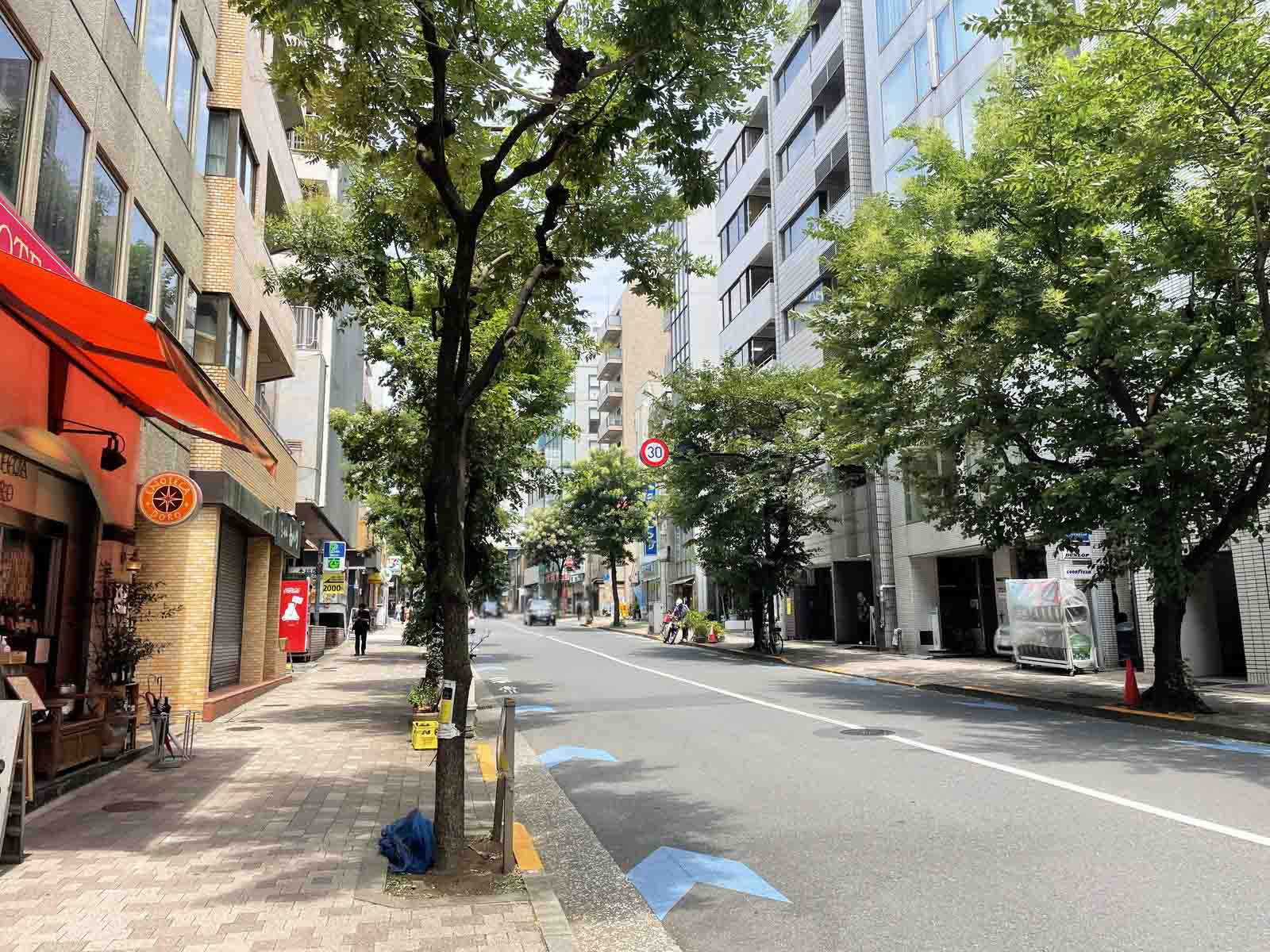 愛三ビル前面の半蔵門駅通り