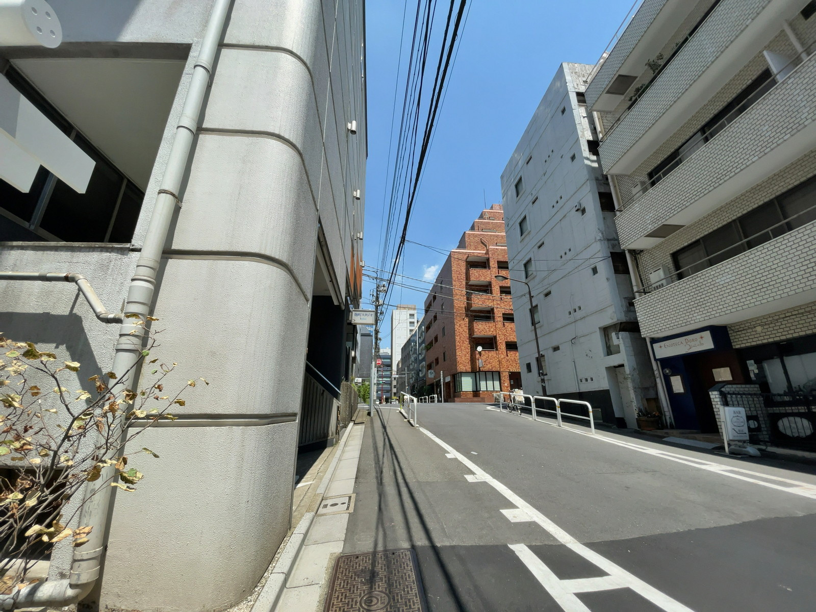 NEWS X 平河町前面の通り
