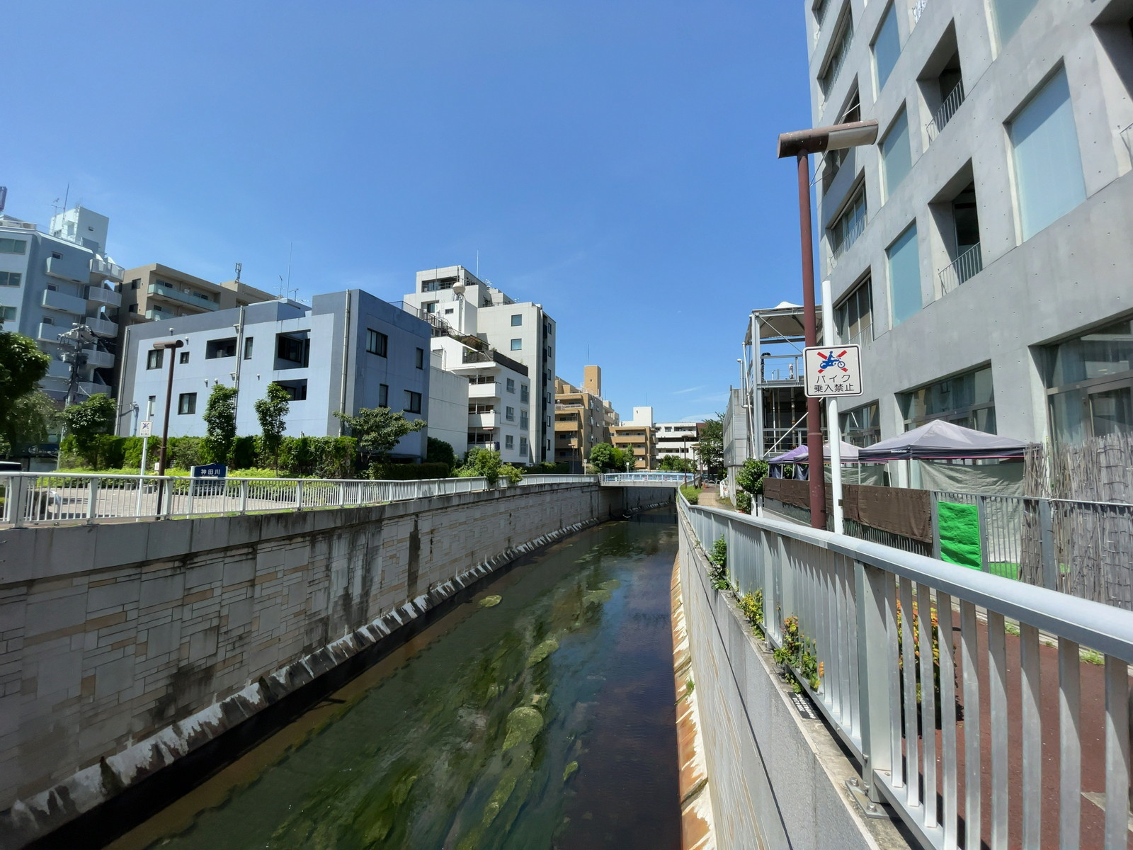 近くの神田川