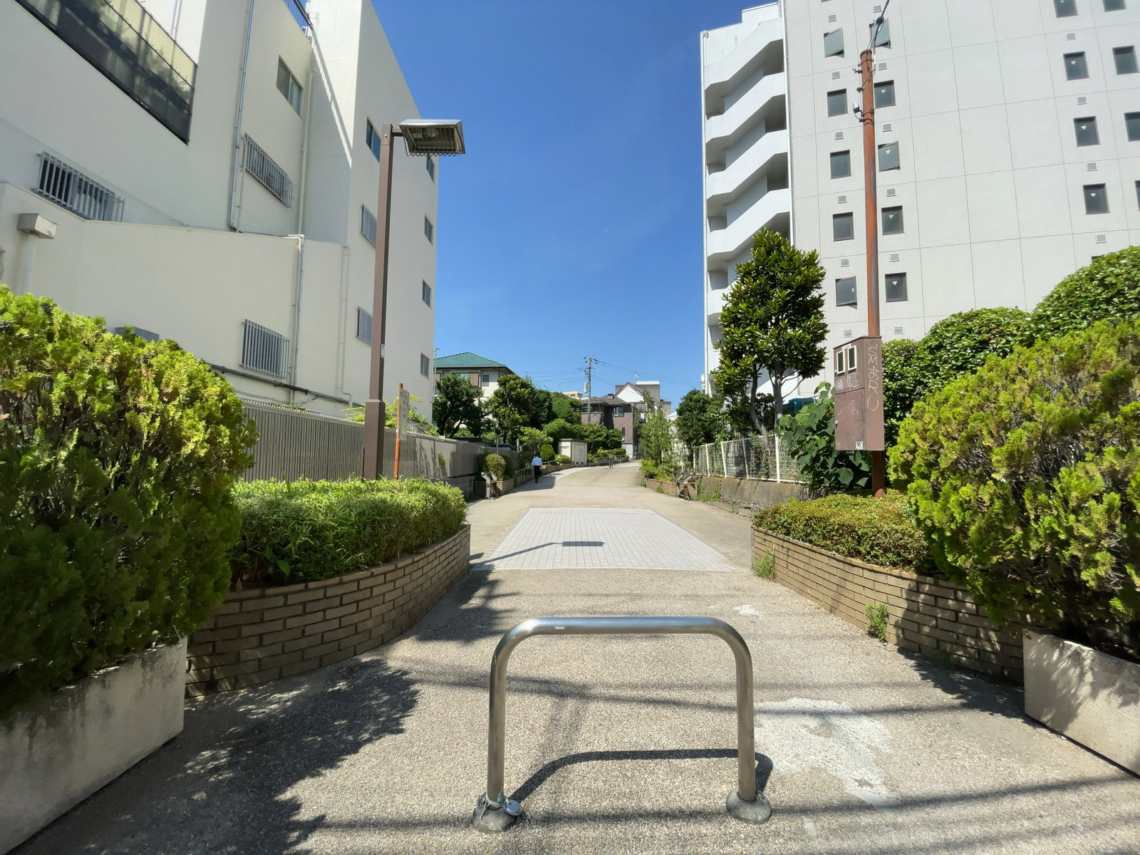 ビル裏の中野区立桃園川緑道