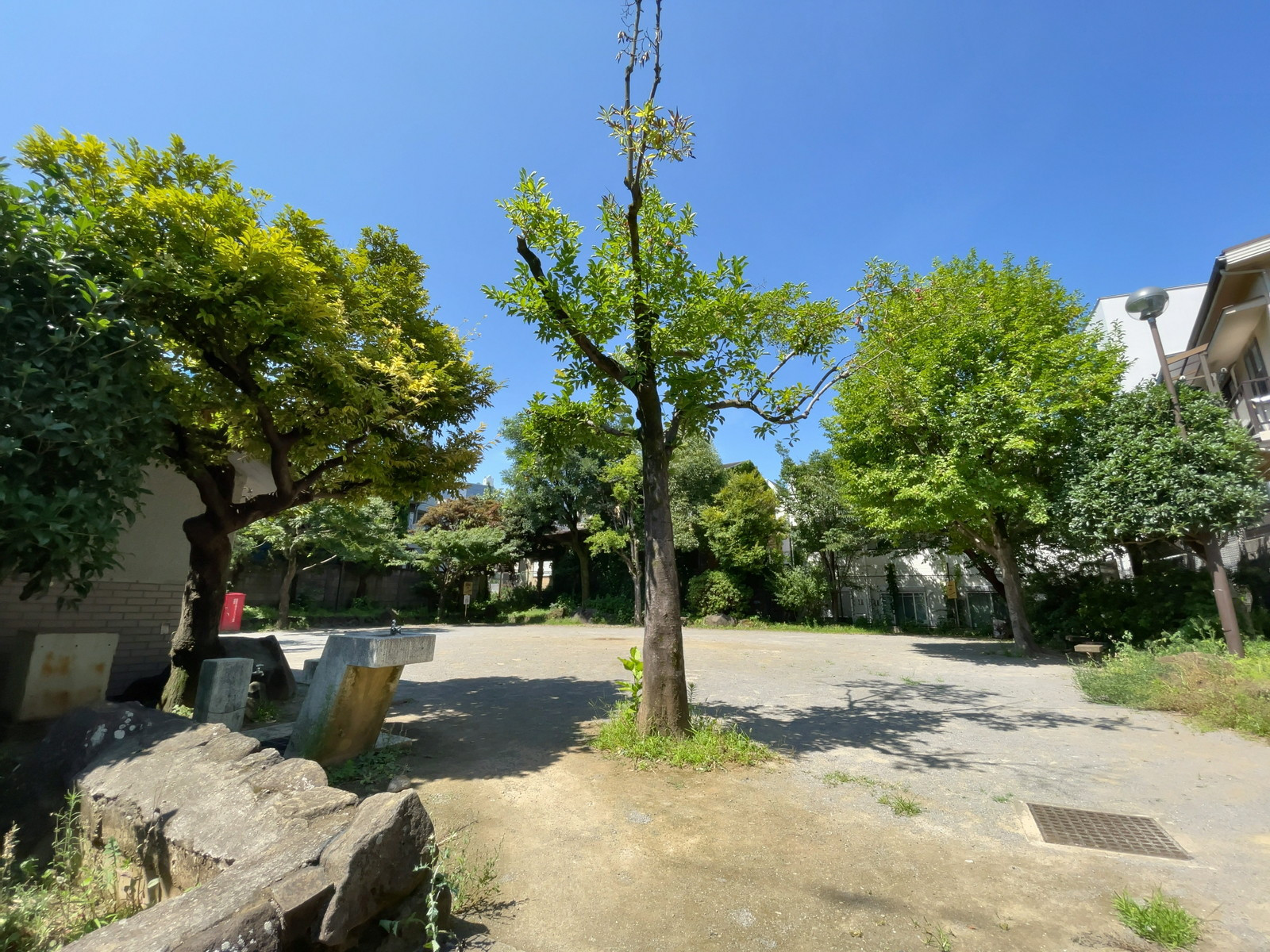 近くの中野区立小淀公園