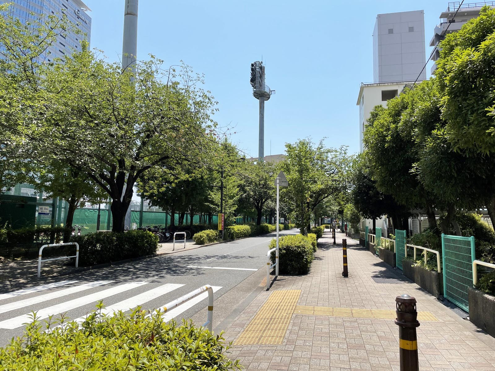 付近の天王洲公園