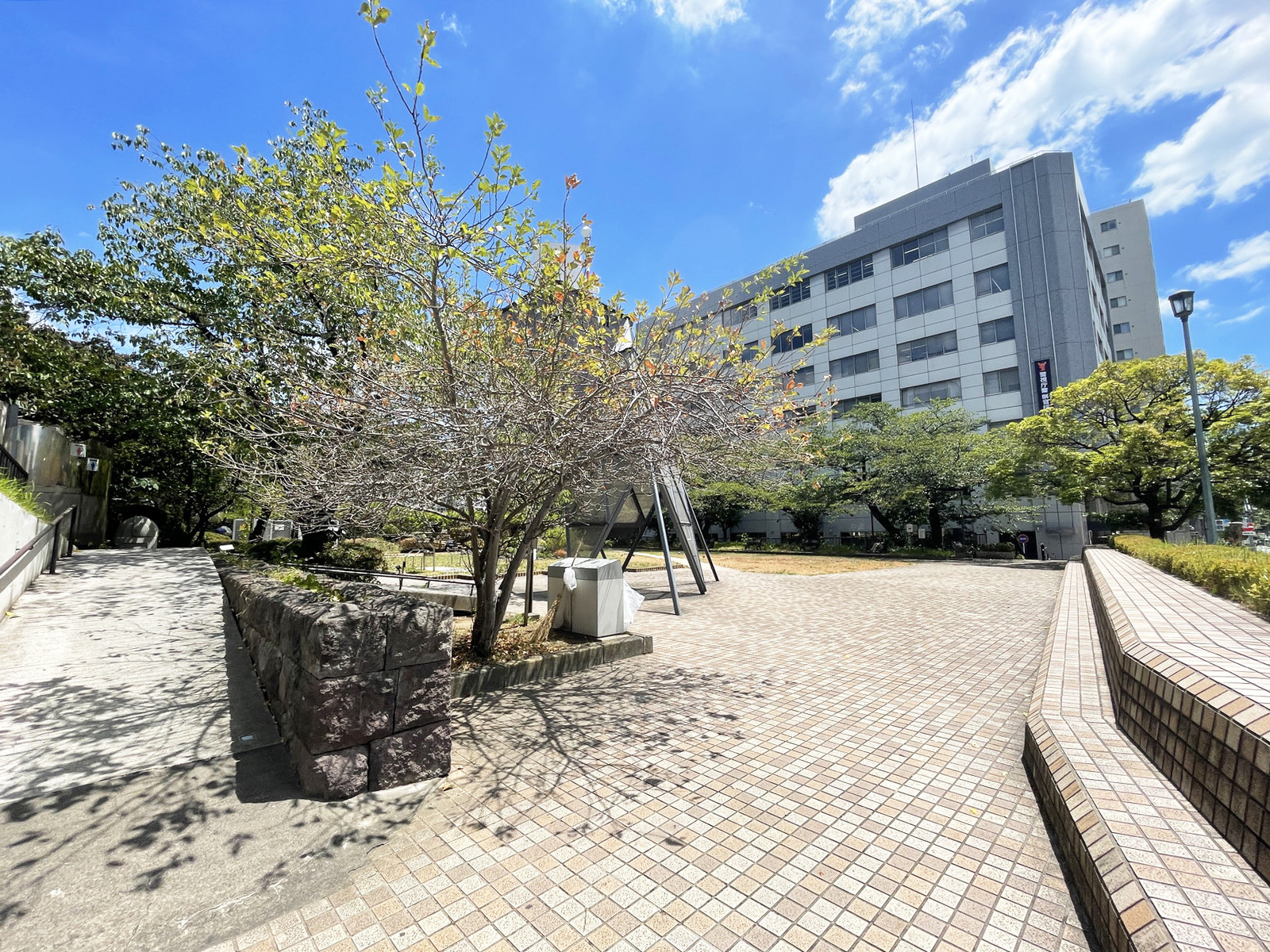 向かいの築地川亀井橋公園