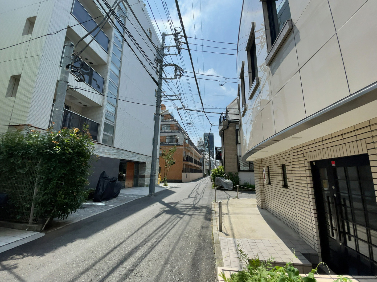 アネックス西新宿前面の通り