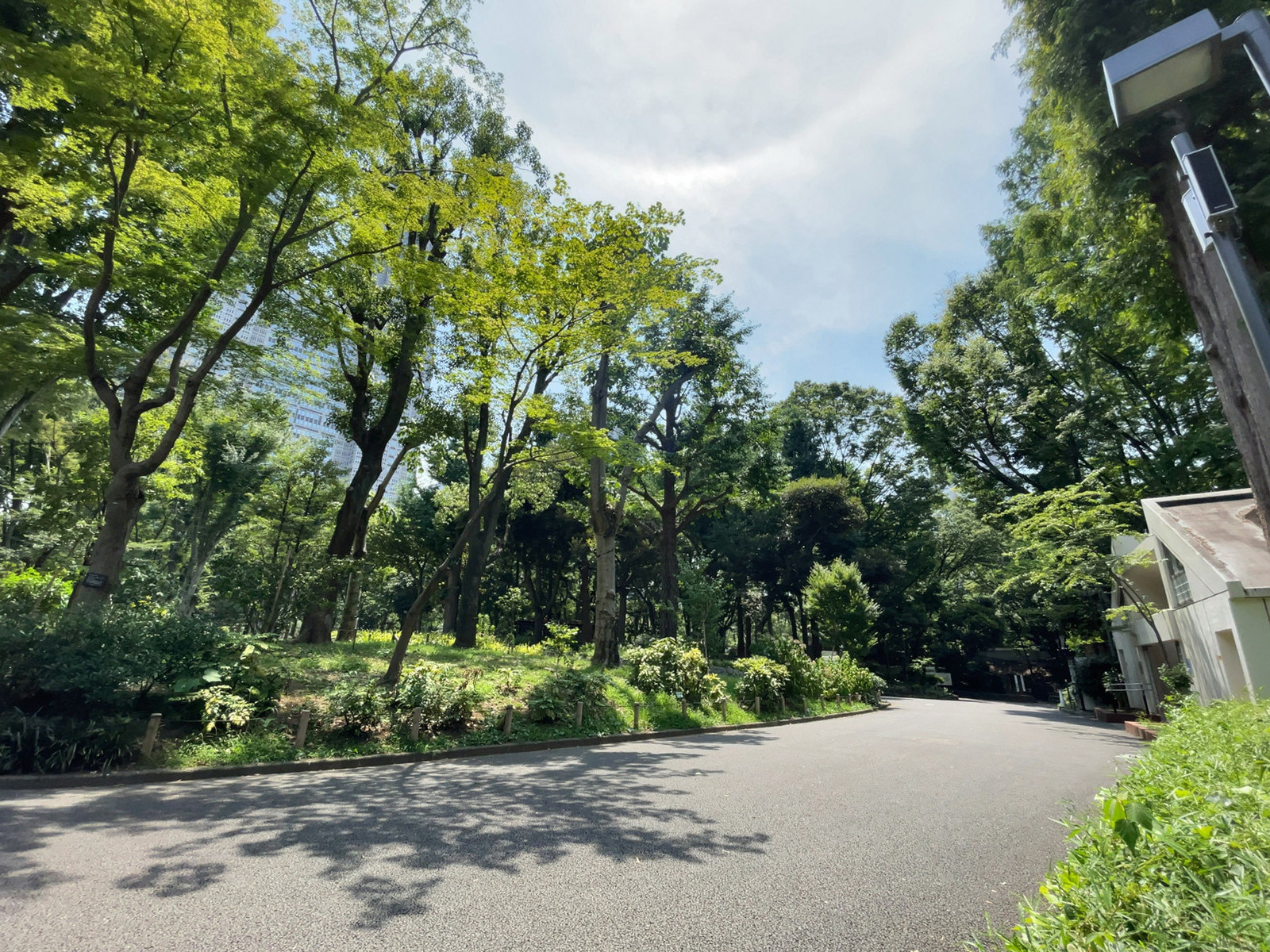 近くの新宿区立新宿中央公園