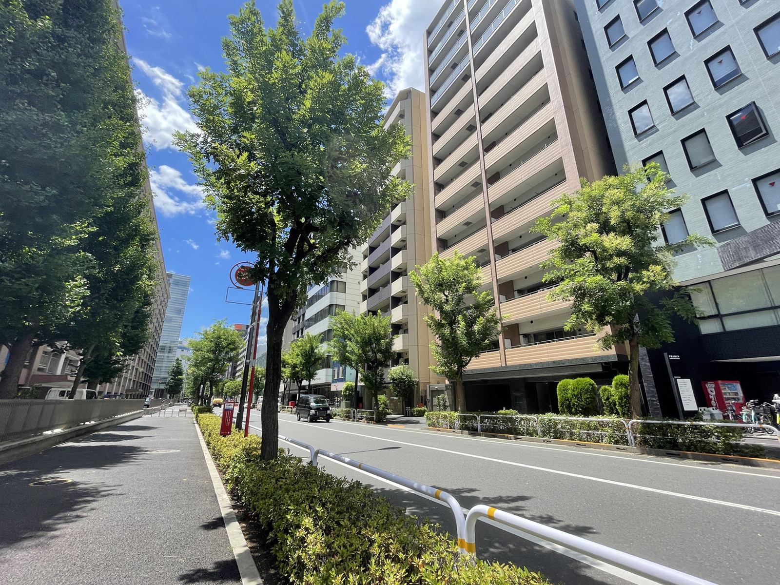 戸浪大森ビル前面の通り