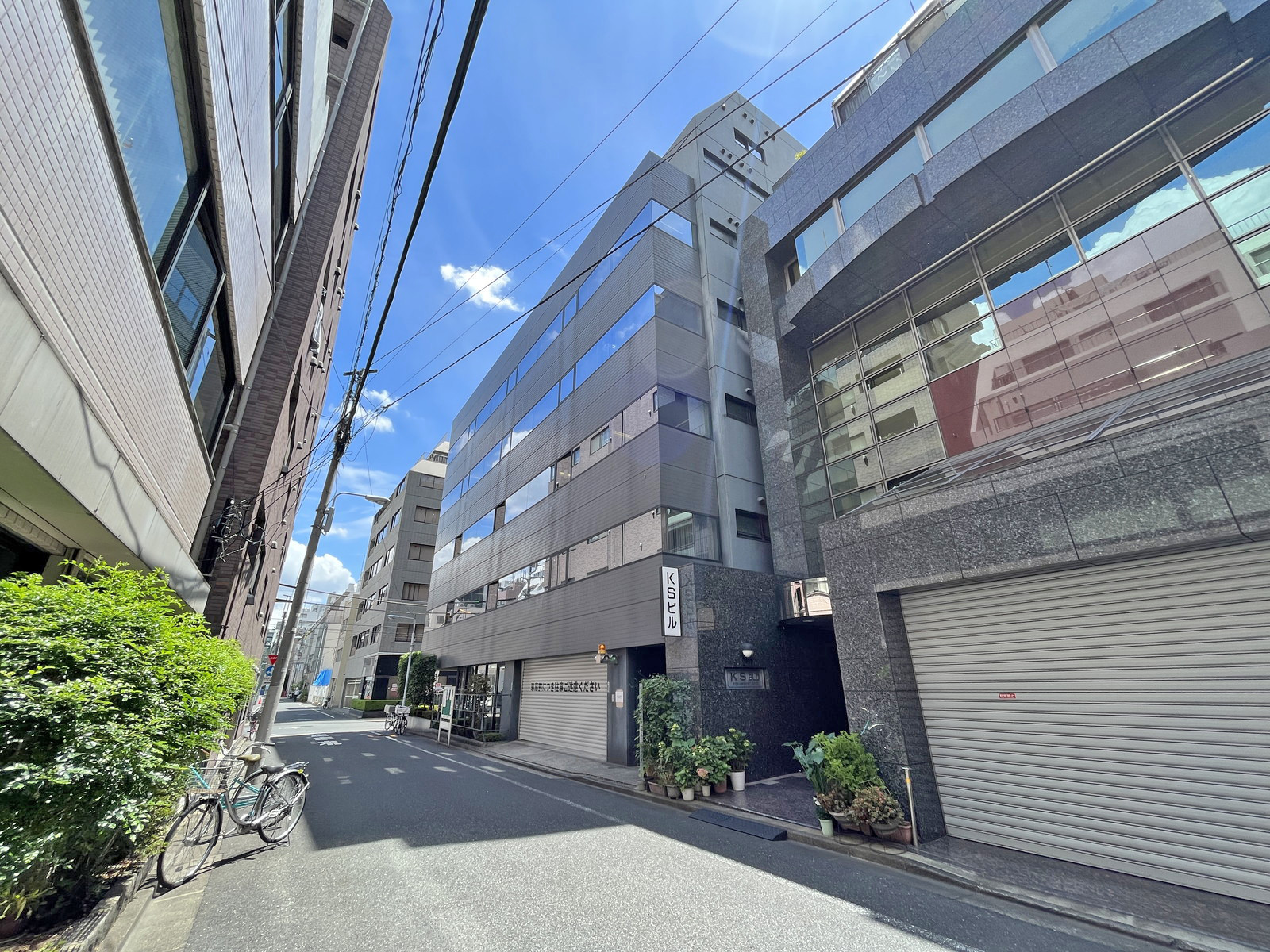 枝村ビル前面通り