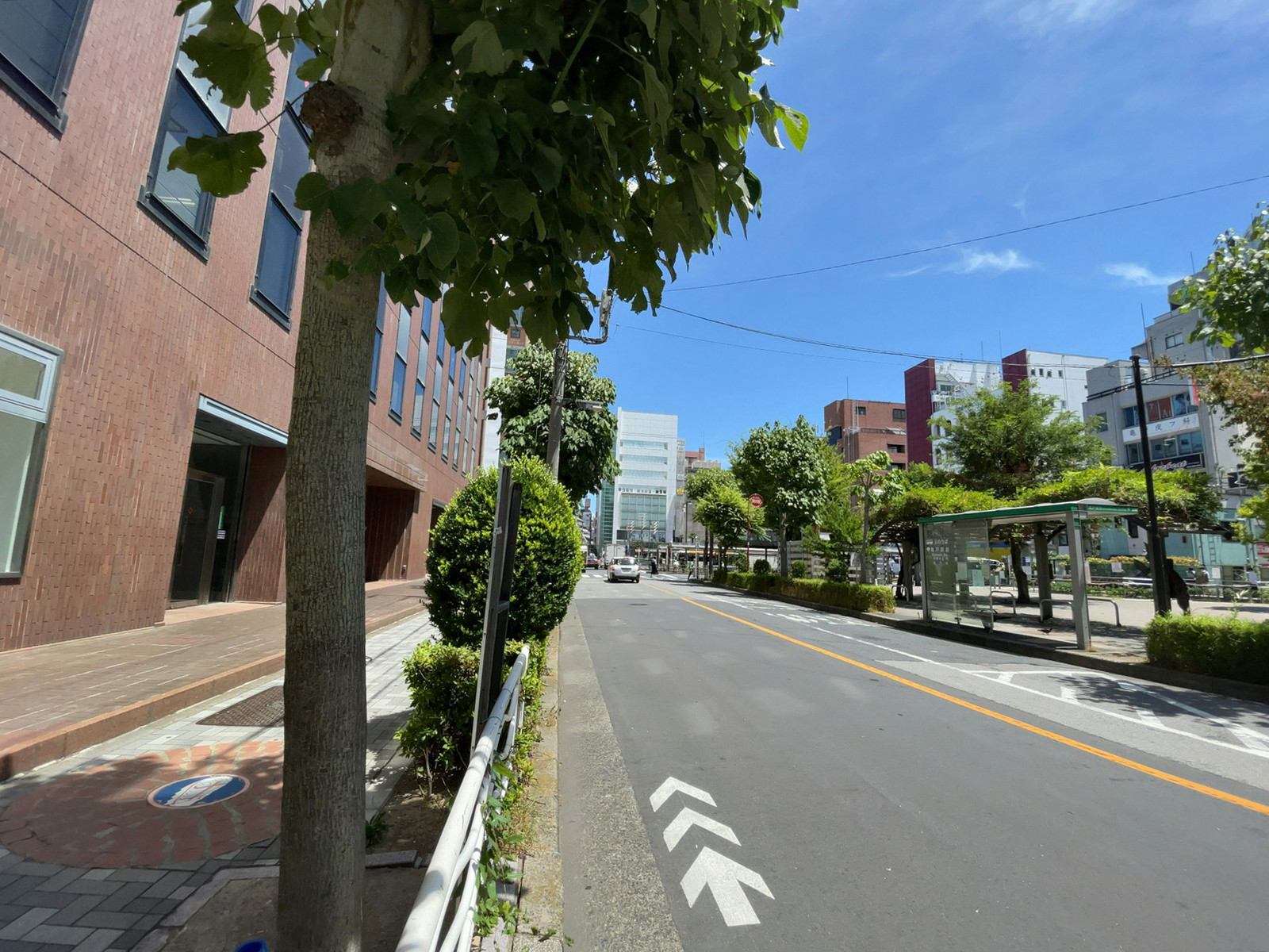 日本生命亀戸ビル前面の通り