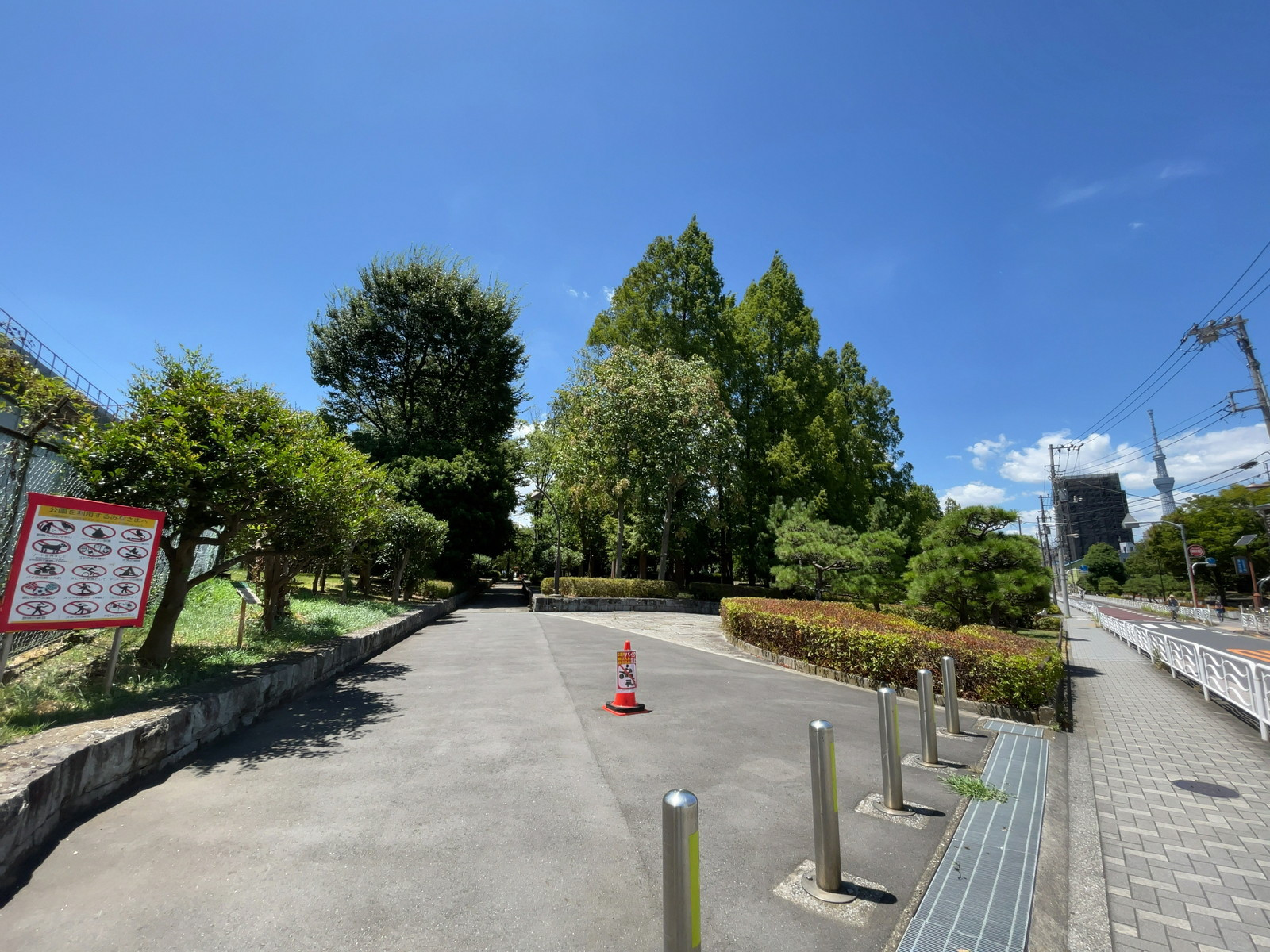 徒歩1分の亀戸中央公園