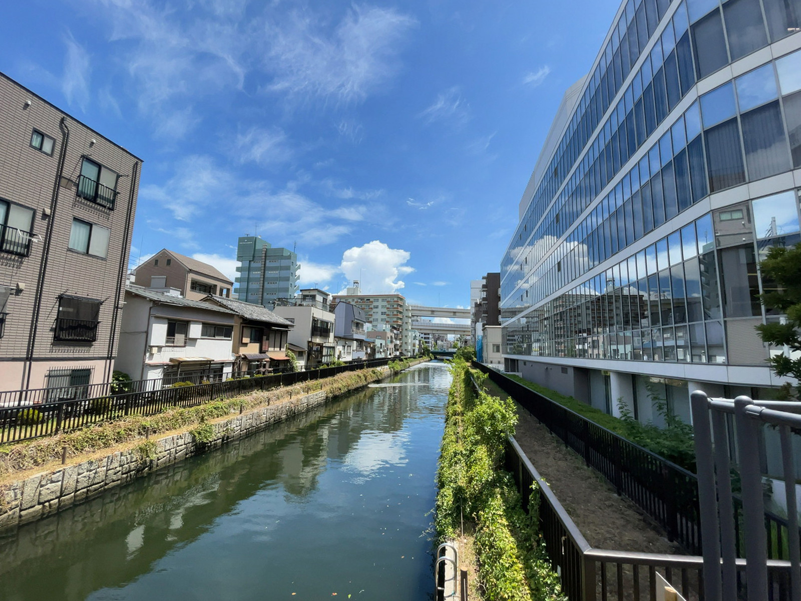 ビル裏の大横川