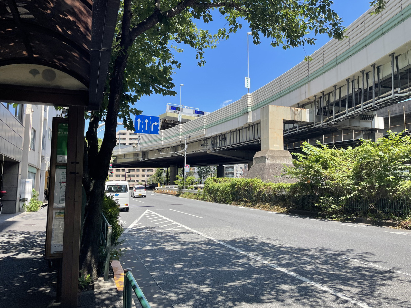入交ビル前面の目白通り