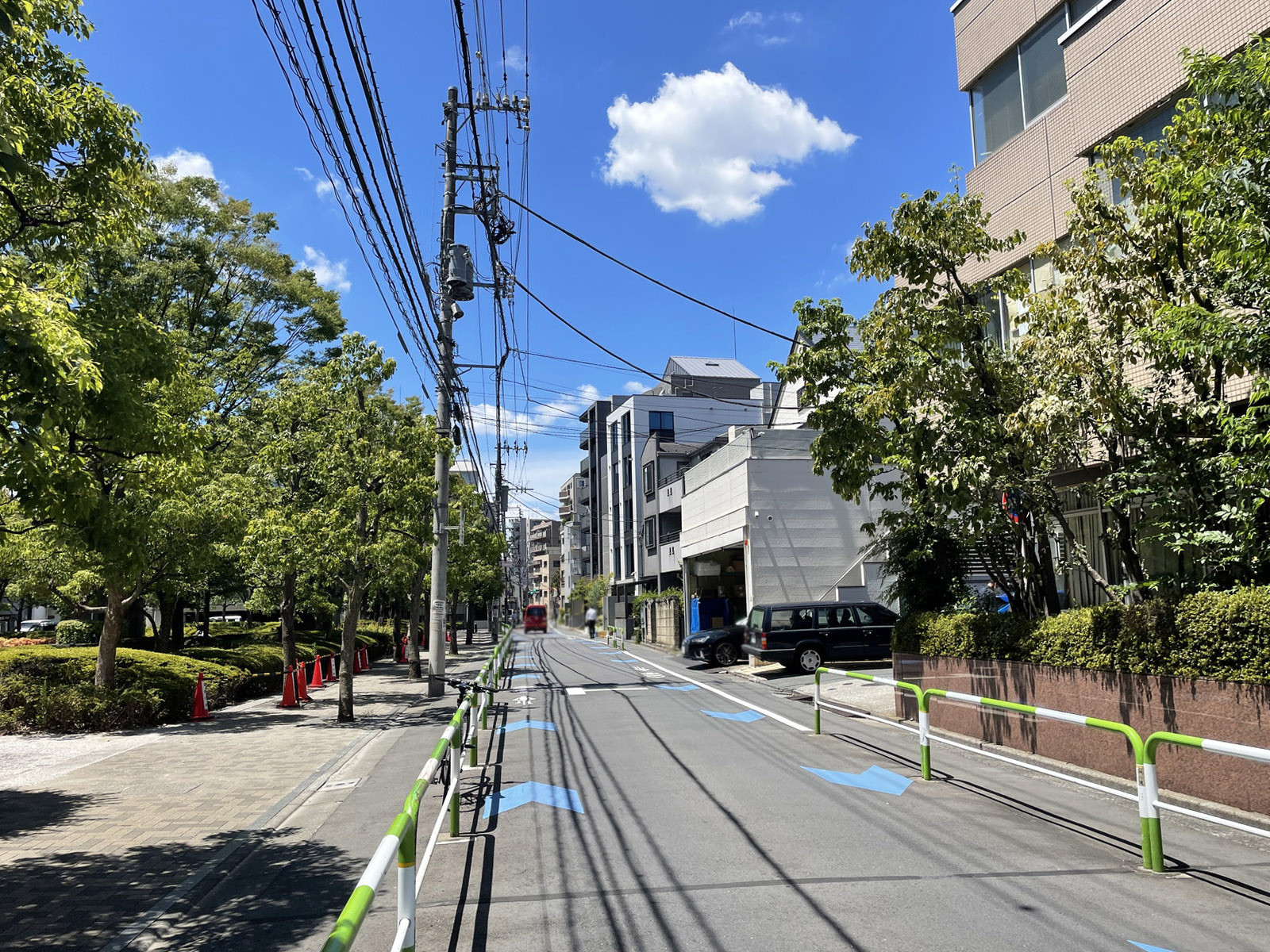 文京須賀ビル前面の通り