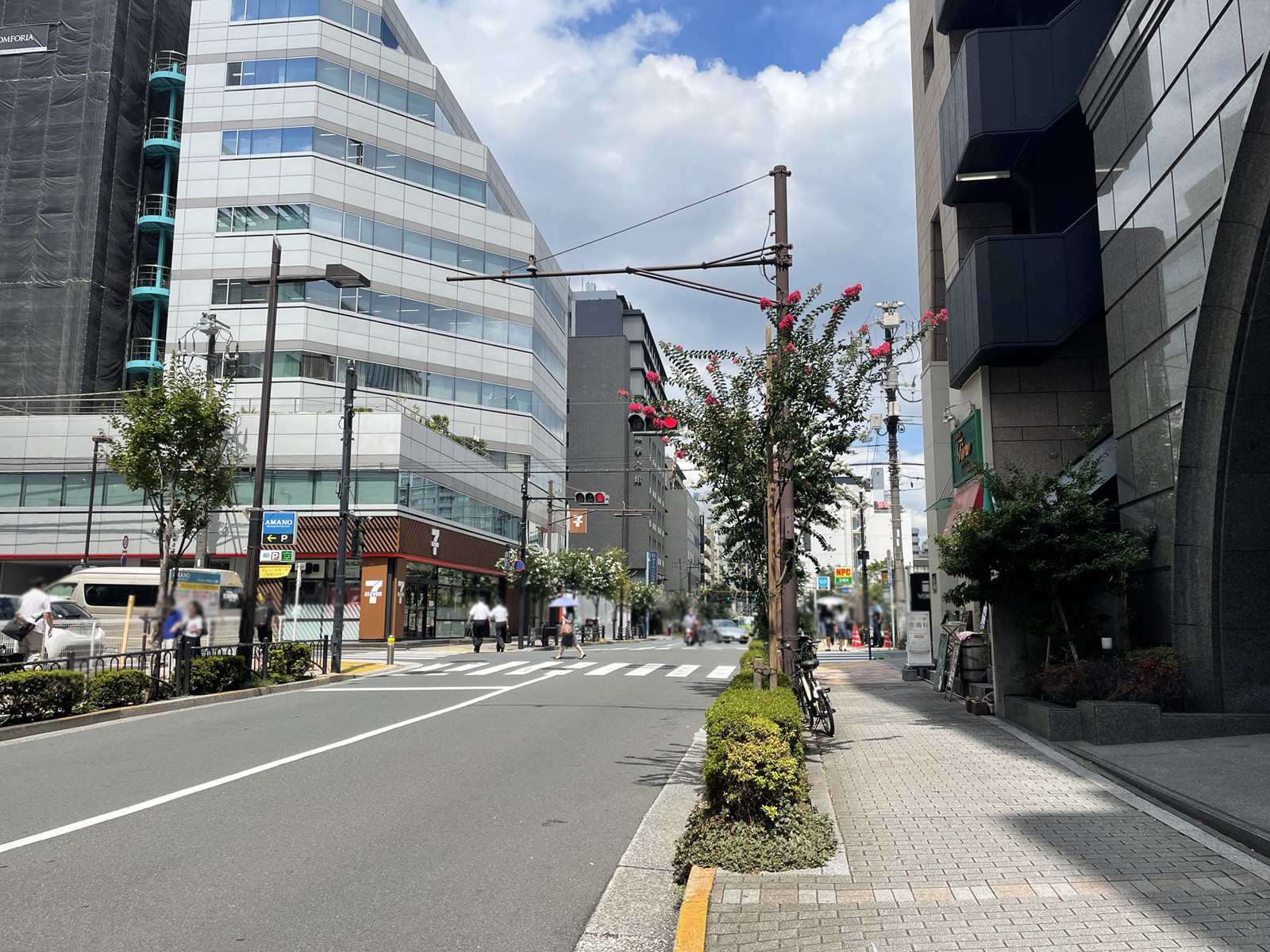 白揚ビル前面の日本テレビ通り