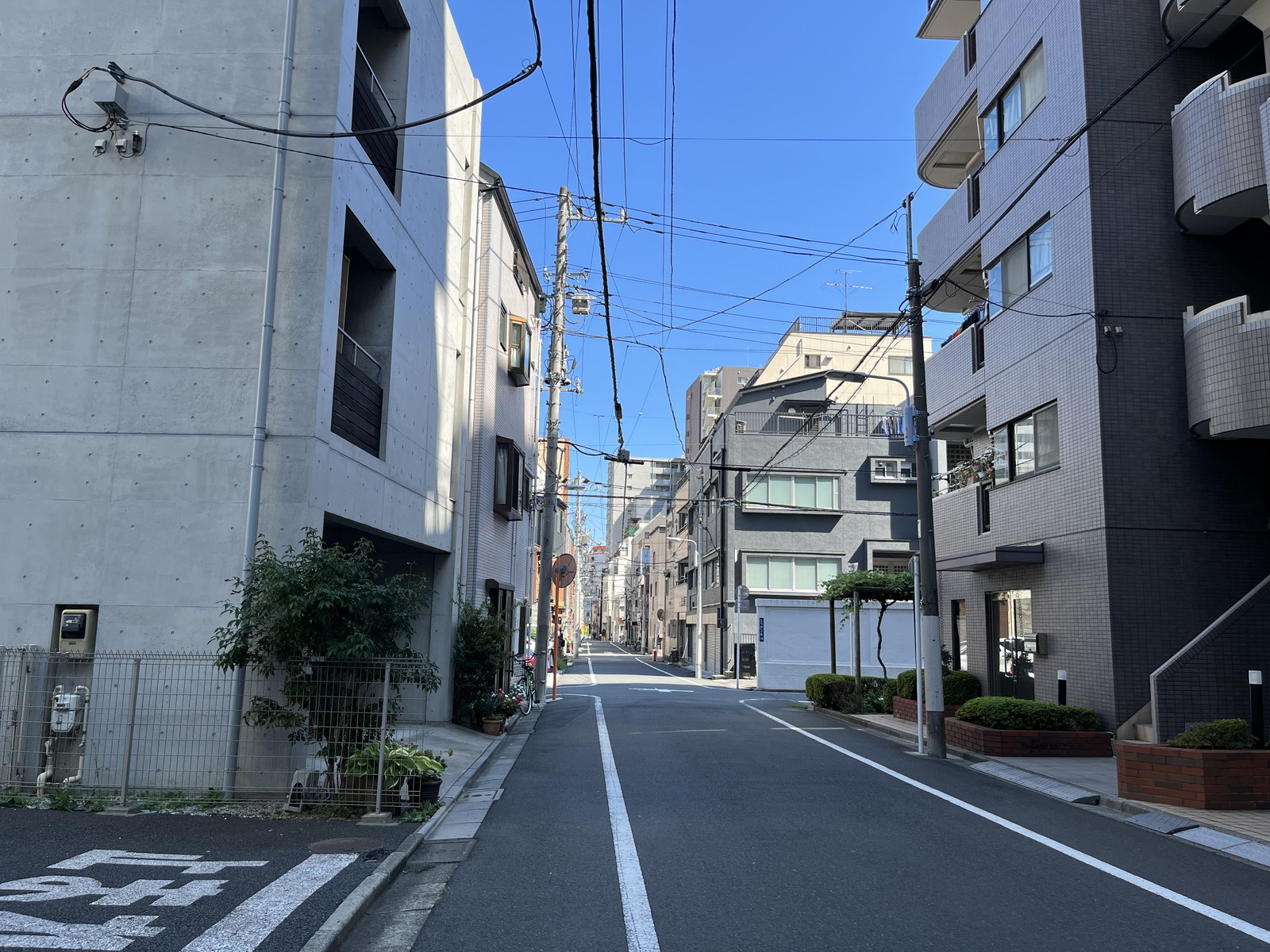 りーふ・いりや前面の通り