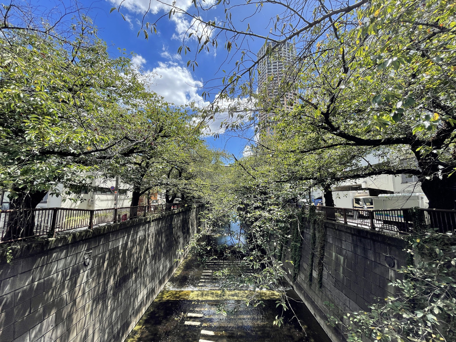 付近の目黒川