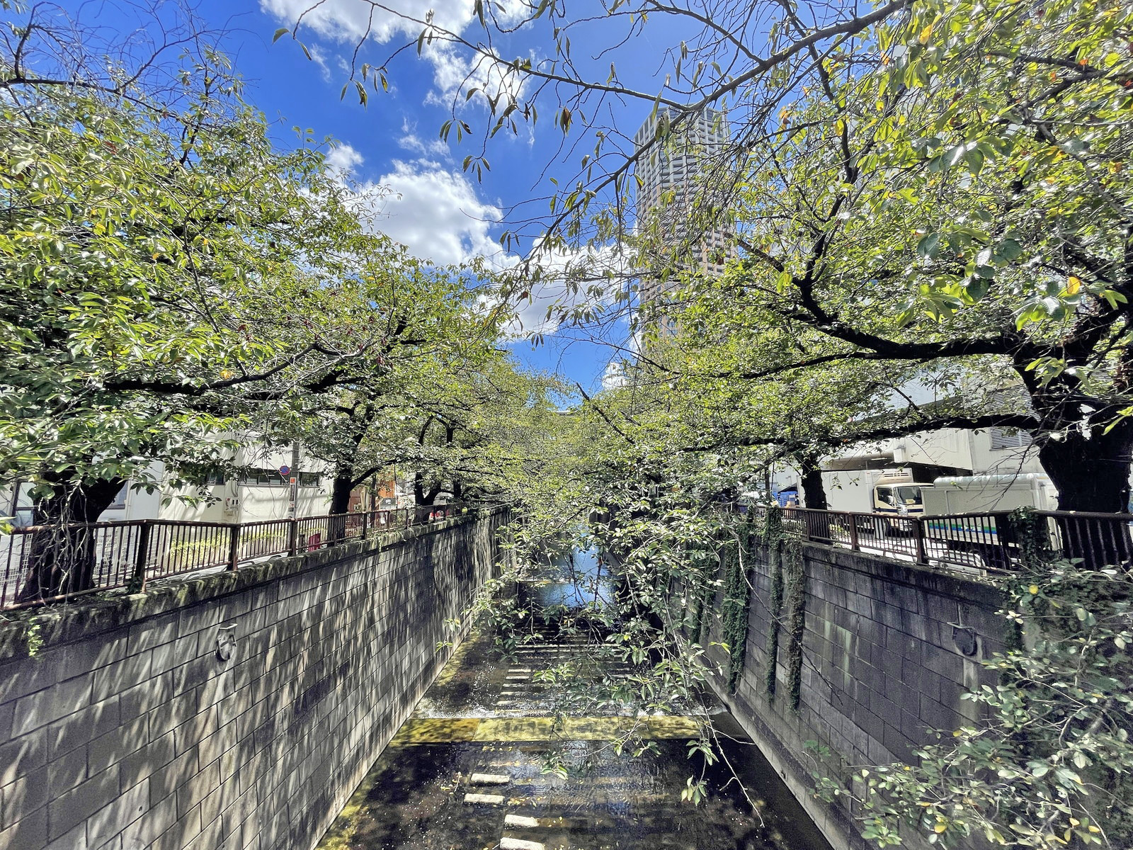 近くの目黒川