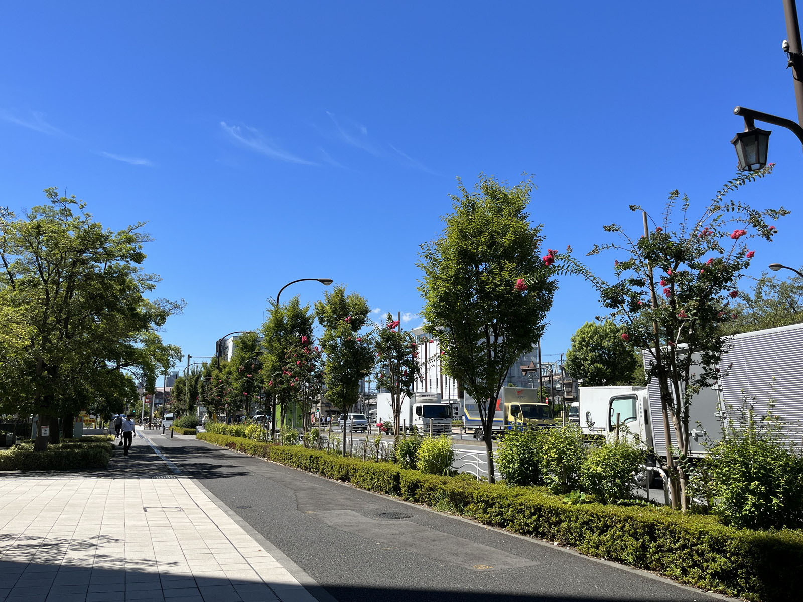 木材会館前面の通り