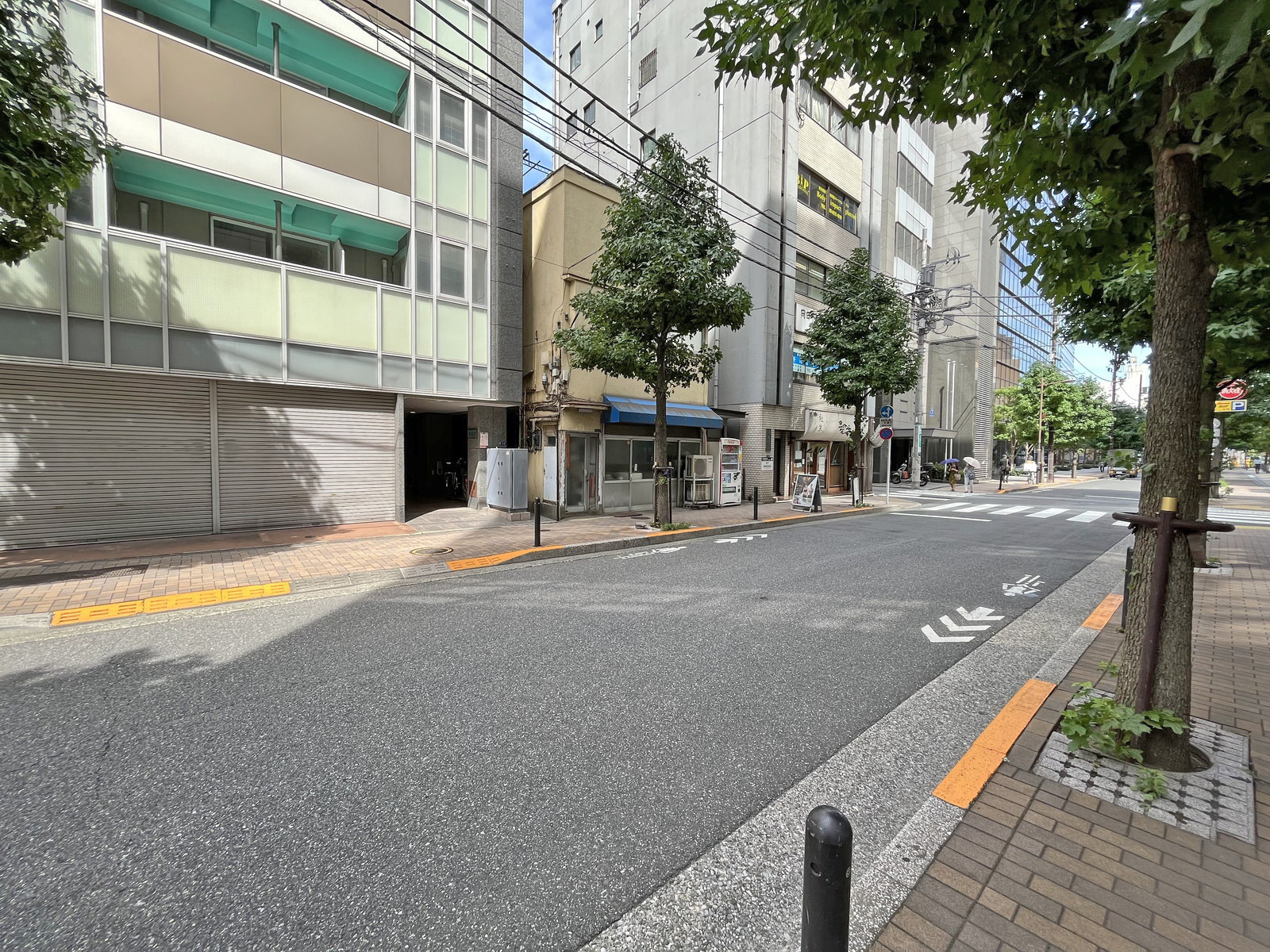 彩風館前面通り