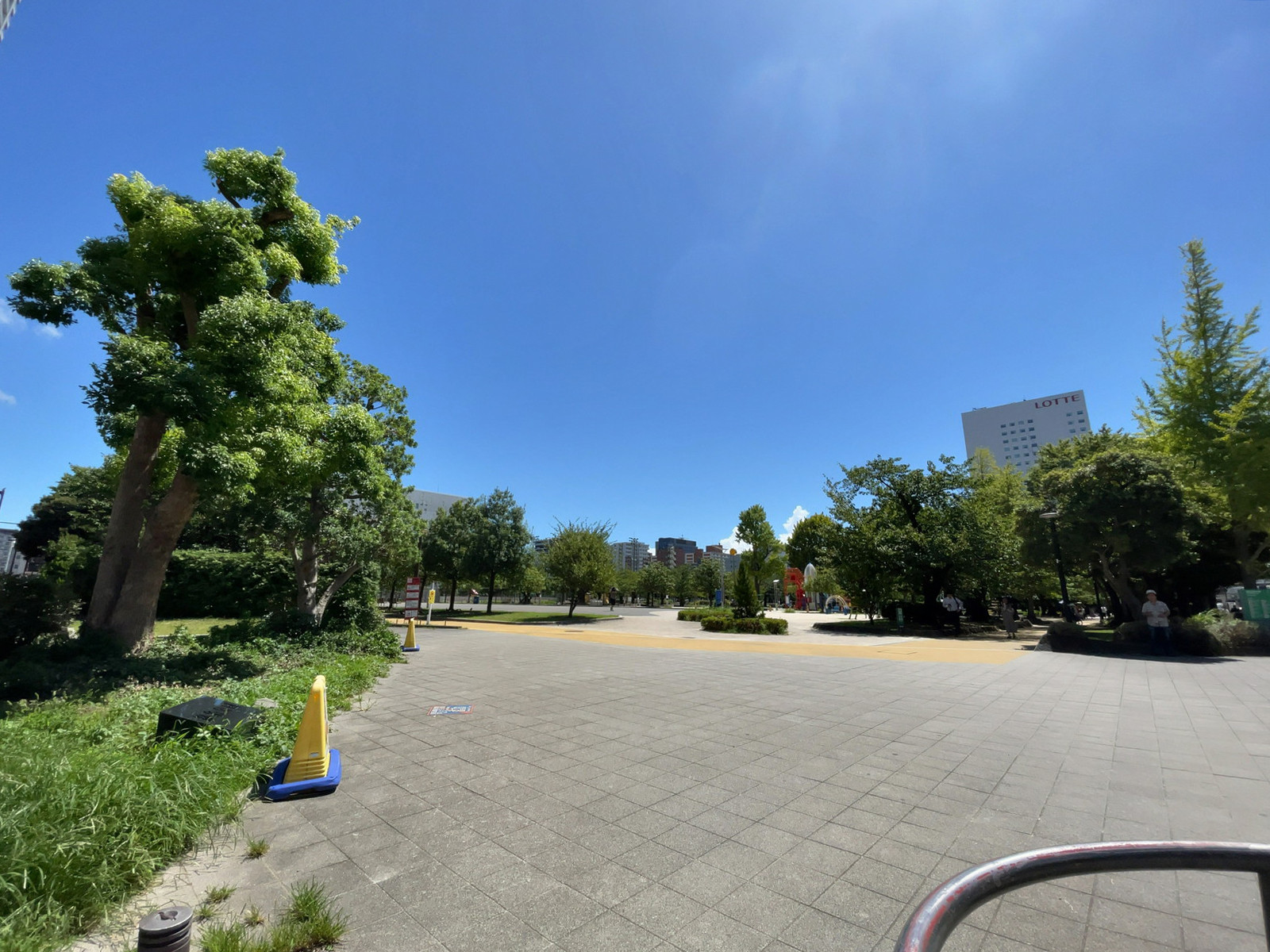 近くの墨田区立錦糸公園