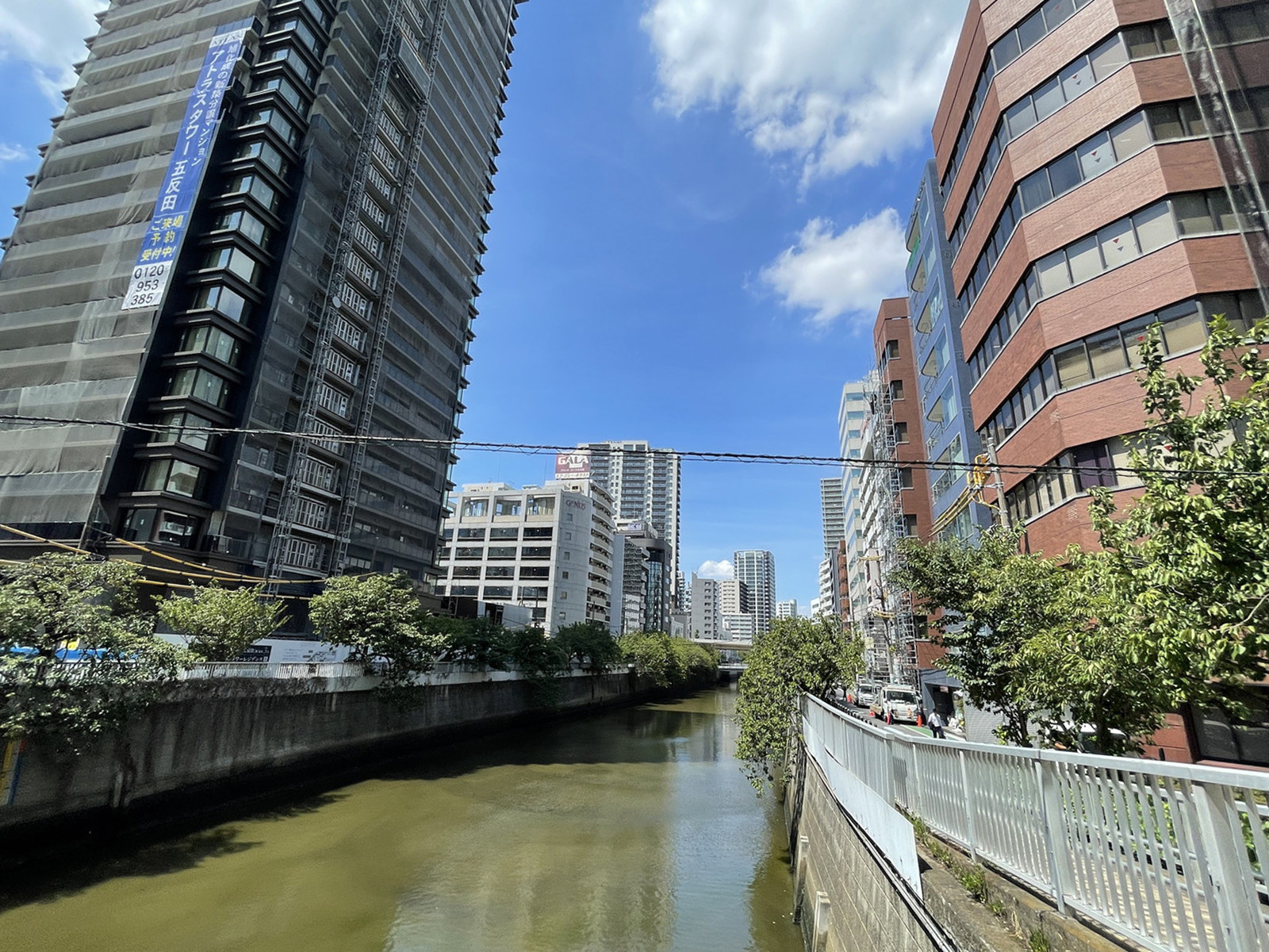 付近の目黒川