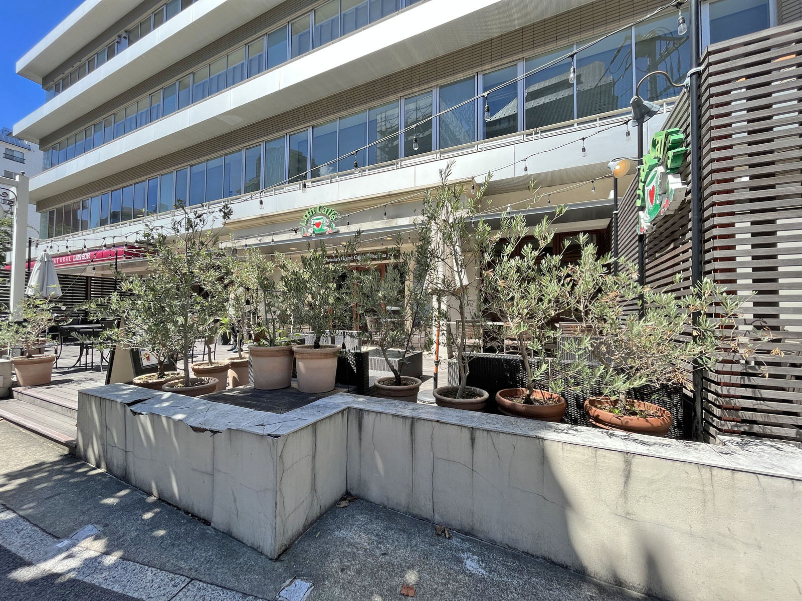 向かいの通りのUrth Caffe 代官山店
