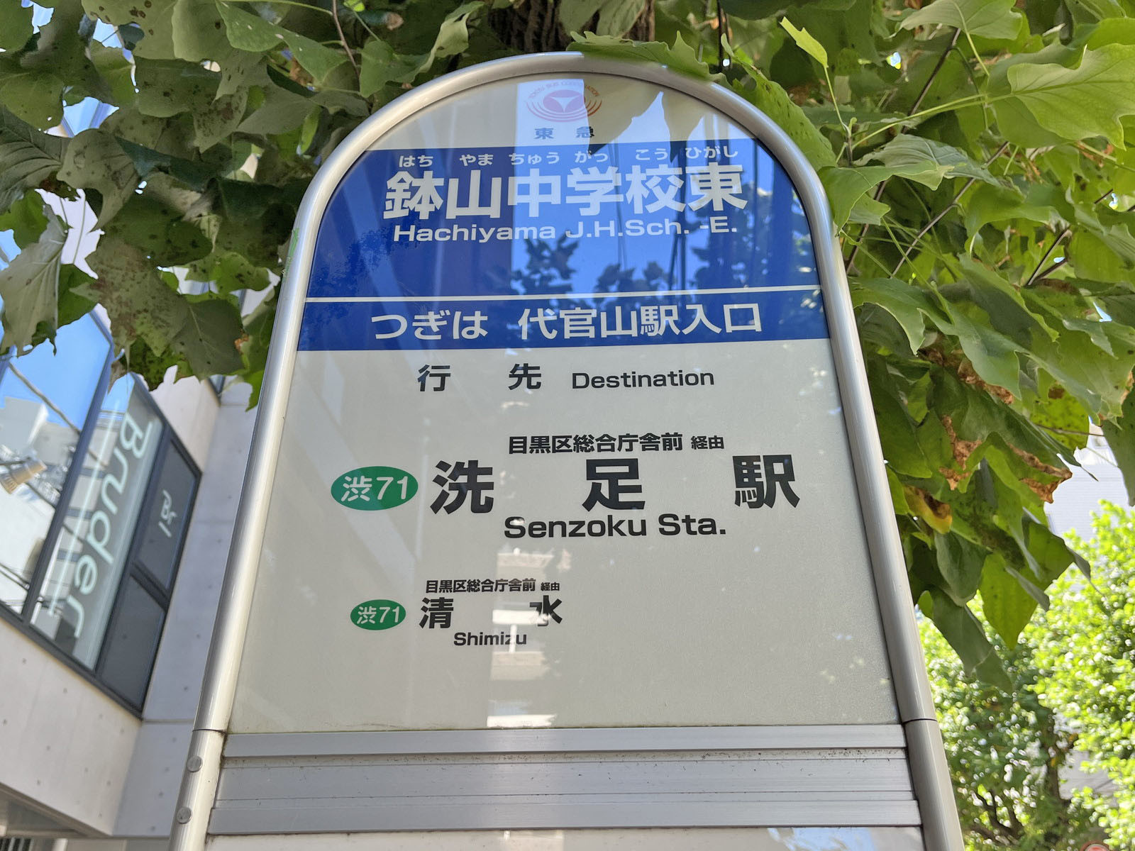 ビル前のバス停「鉢山中学校東」