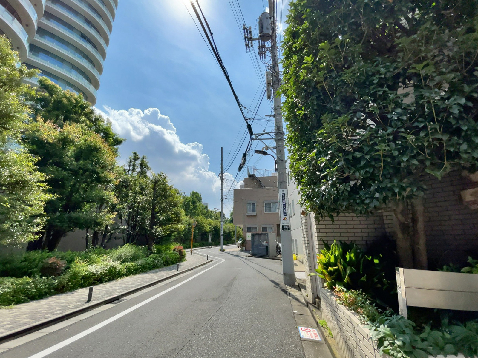 青山SGKビル前面の通り
