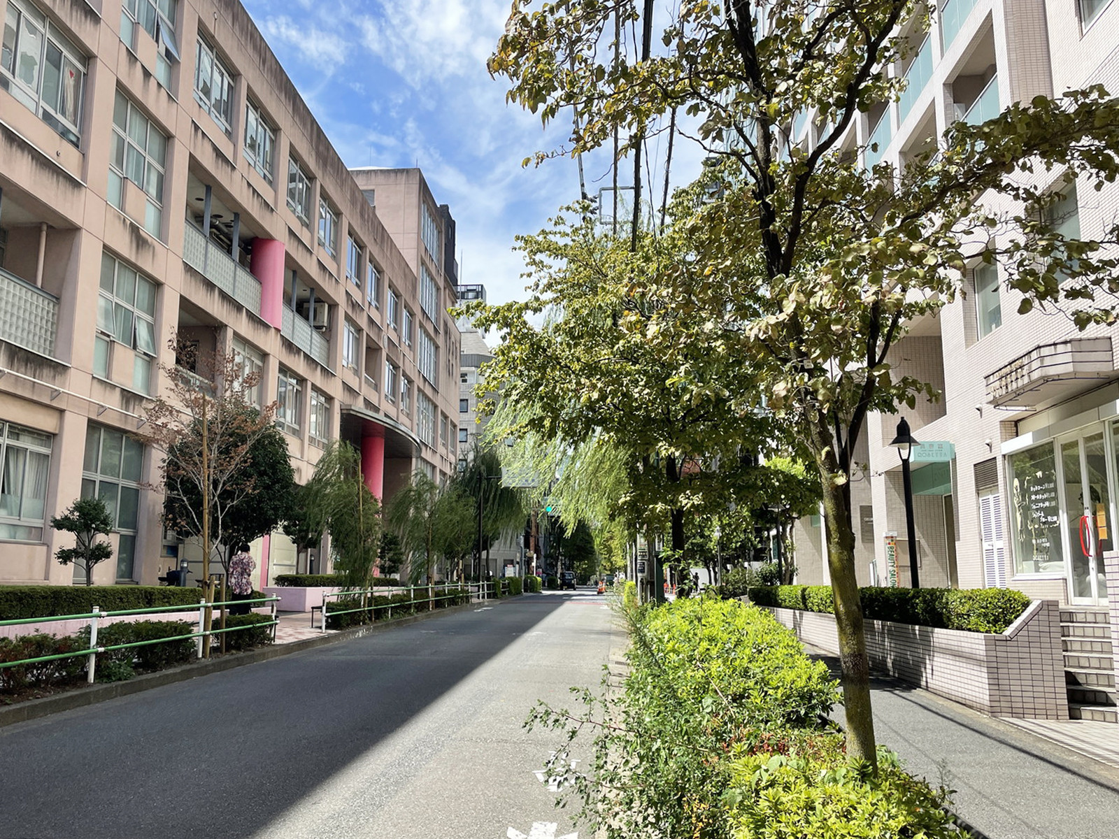 長井ビル前面の花園通り