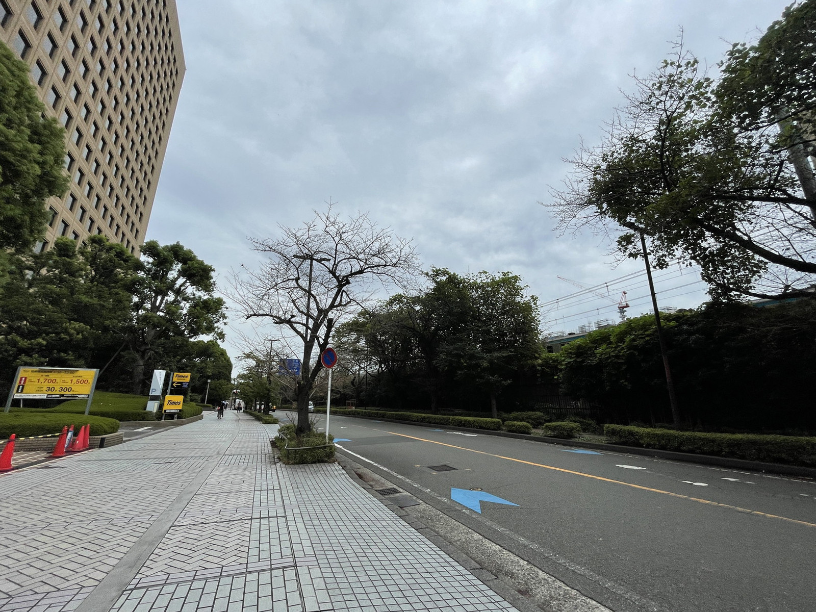 興和川崎西口ビル前面の通り