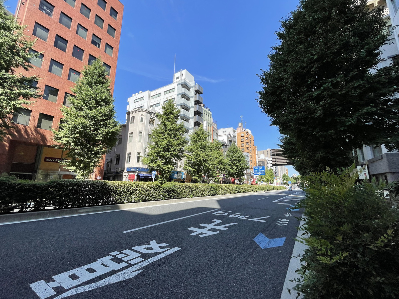 フロンティア本郷1前面の通り