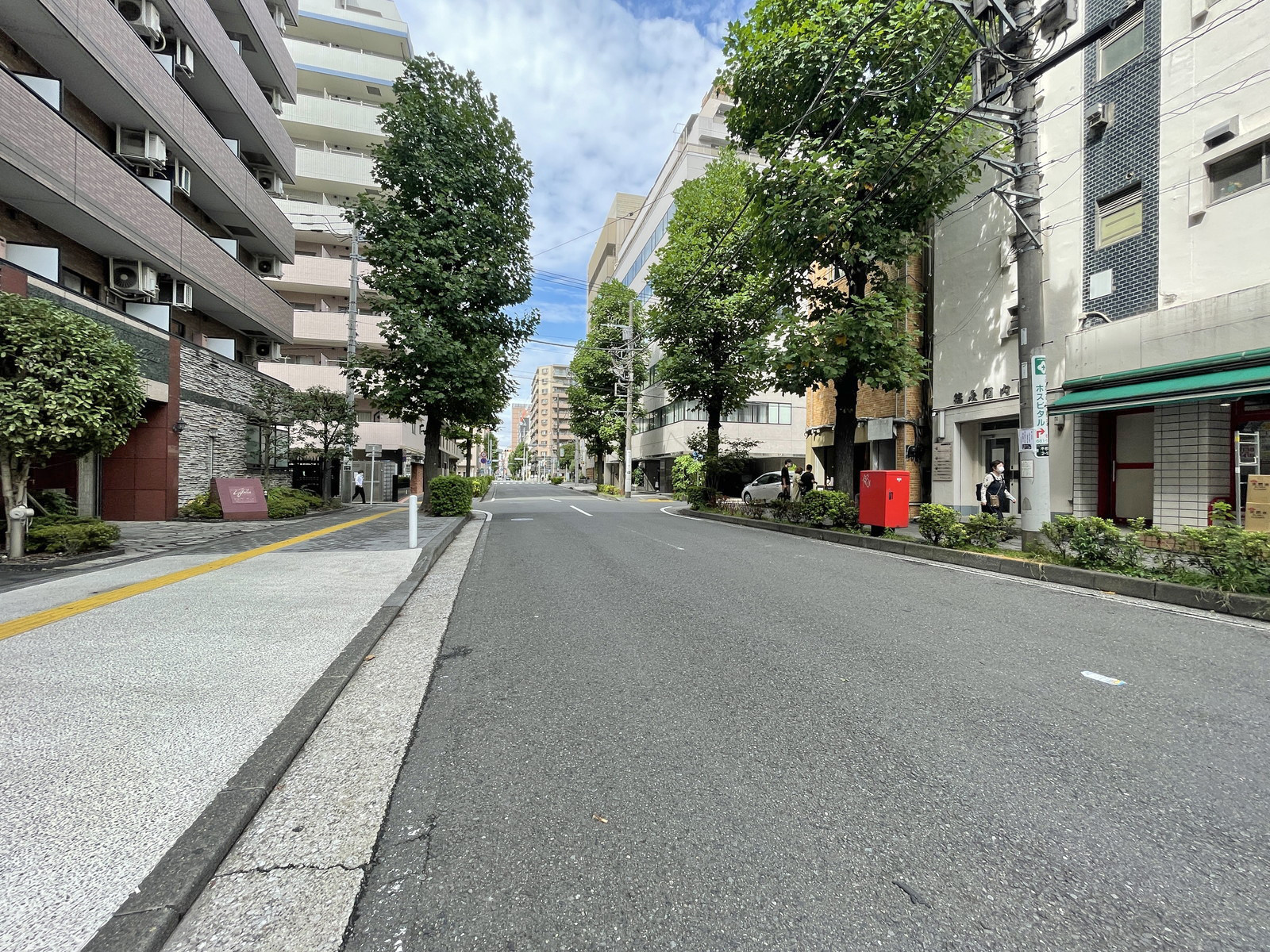 税経研修センター前面の通り