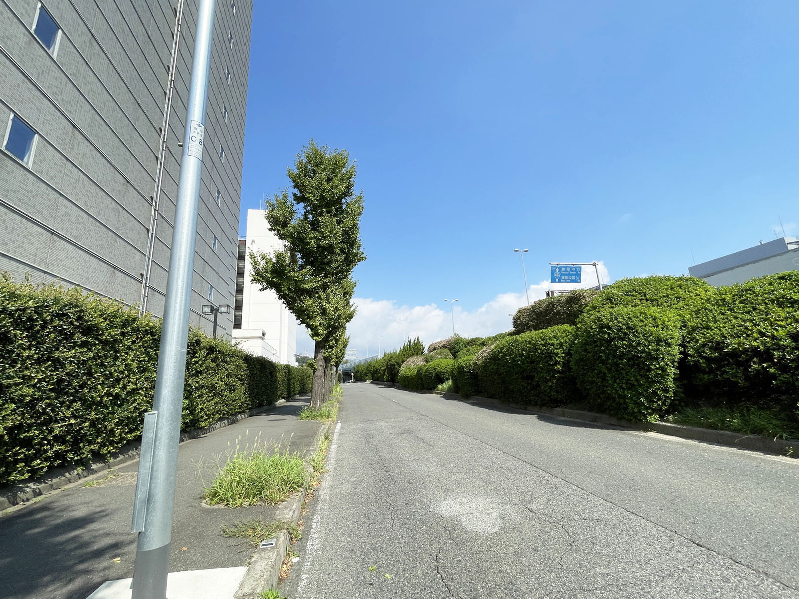 住友商事千里ビル北館前面の通り