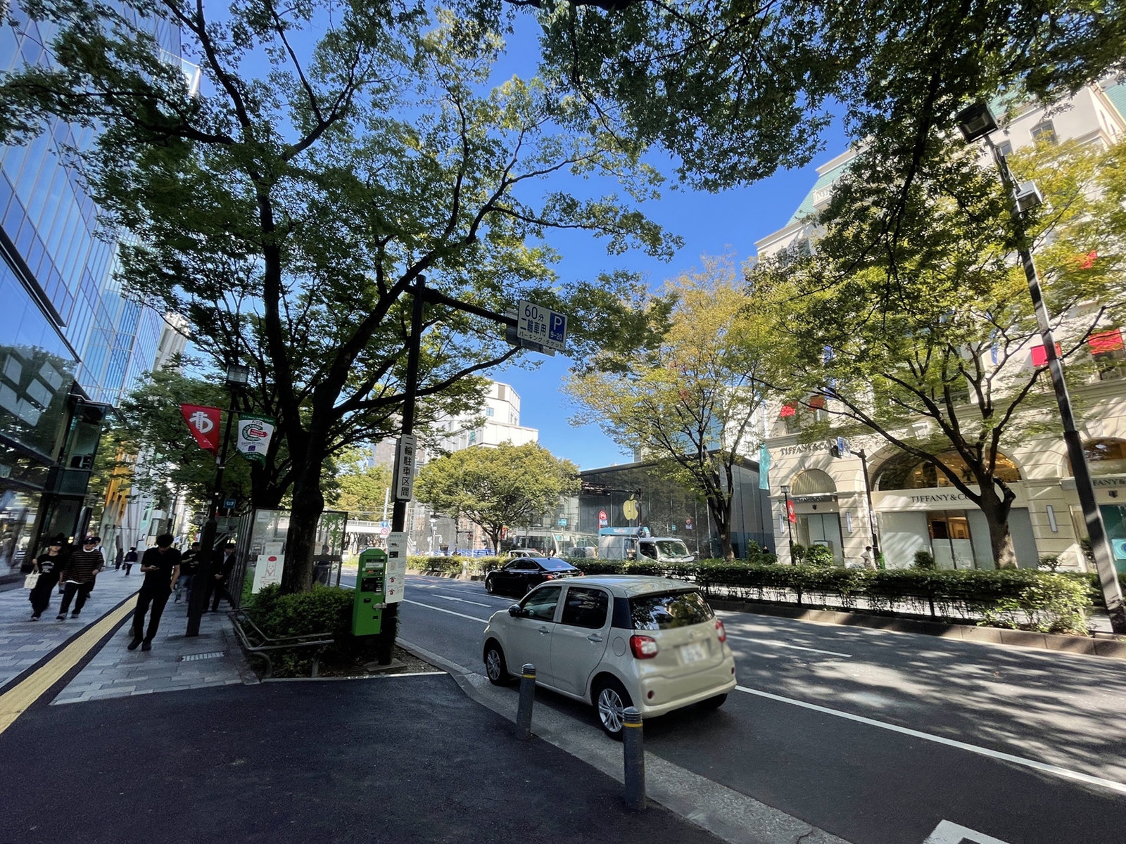 明治安田生命青山パラシオタワー前面の表参道