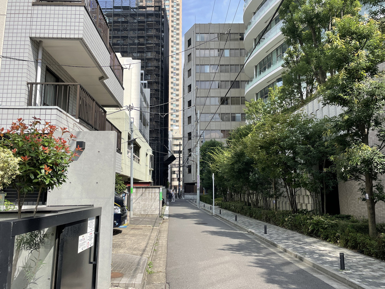 LAPIS青山2前面の通り