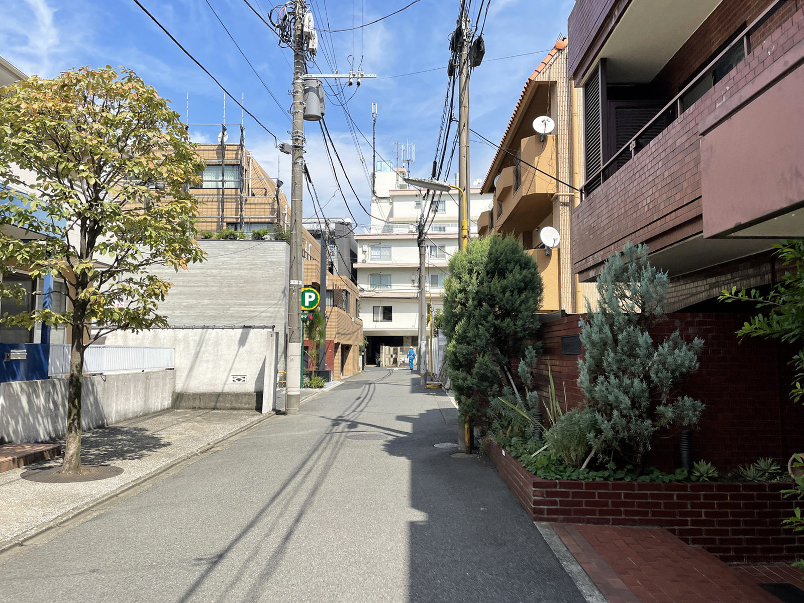 南青山コートヒルズ前面の通り