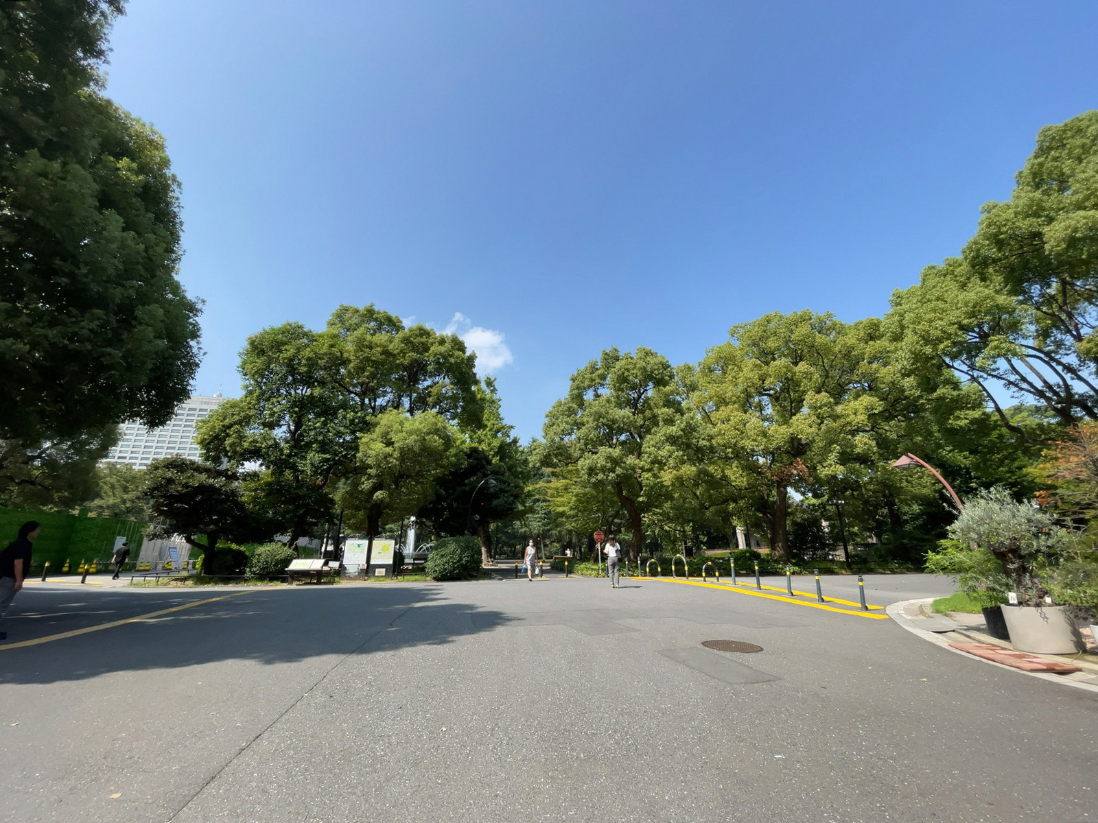 至近の日比谷公園