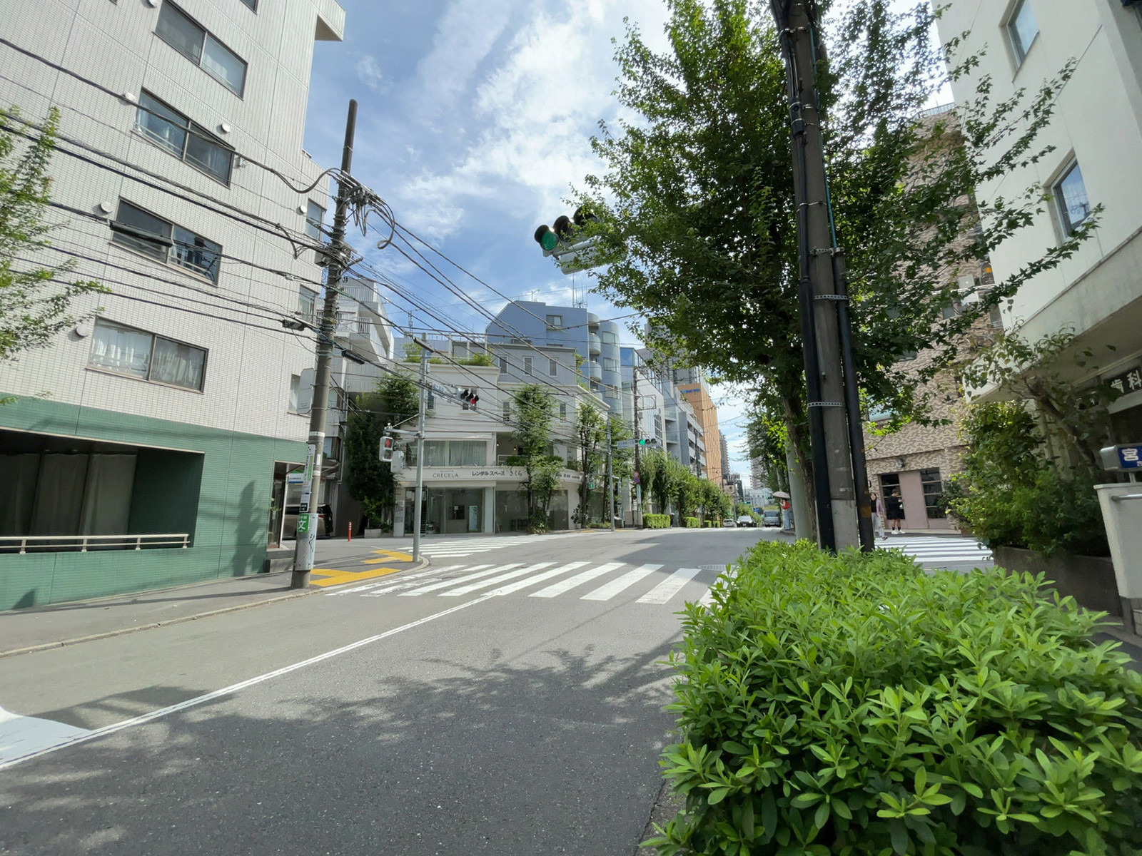安島ビル2前面の通り
