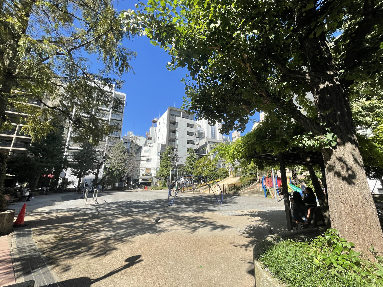 向かいの網代公園