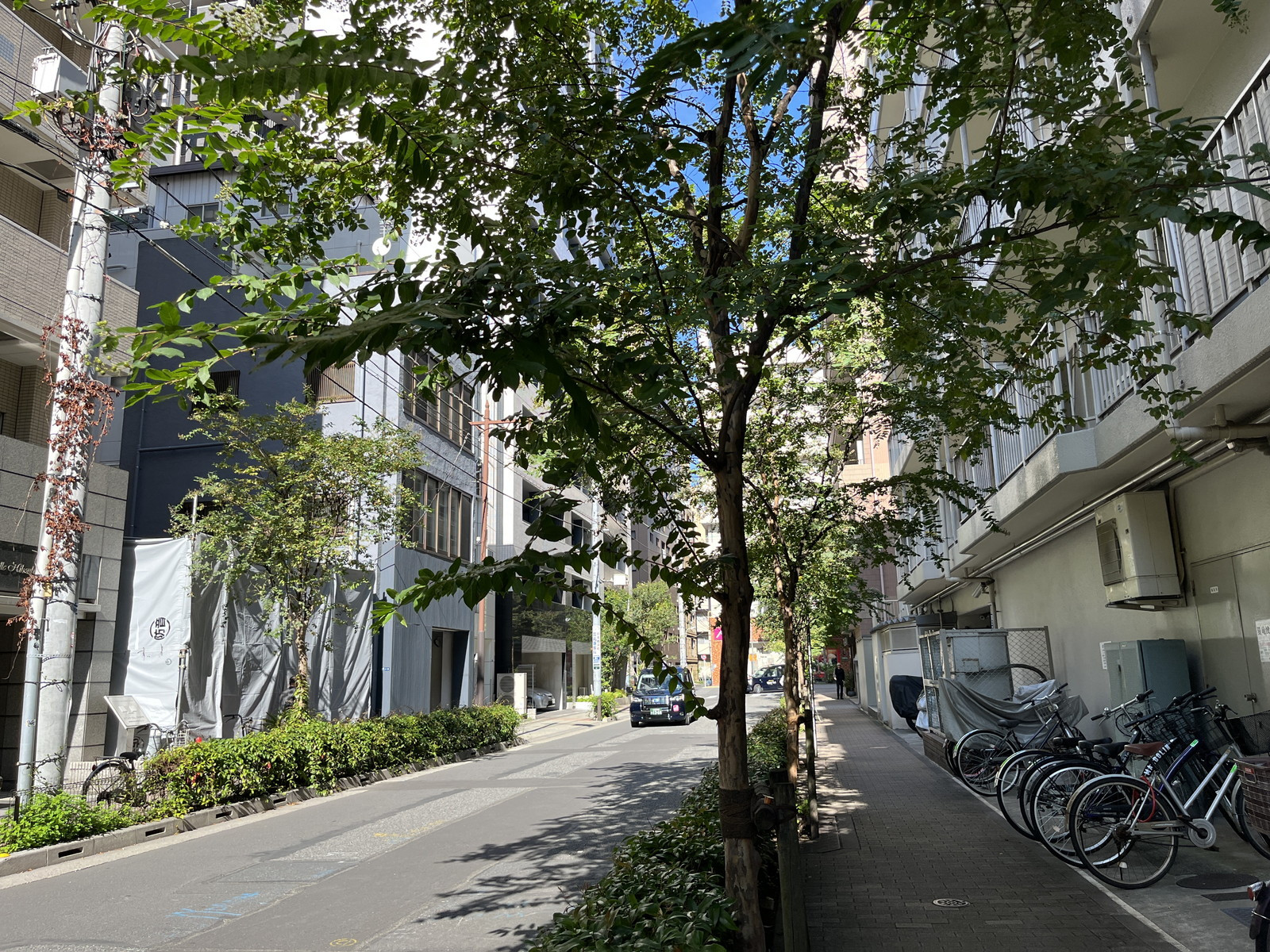 前面の通り