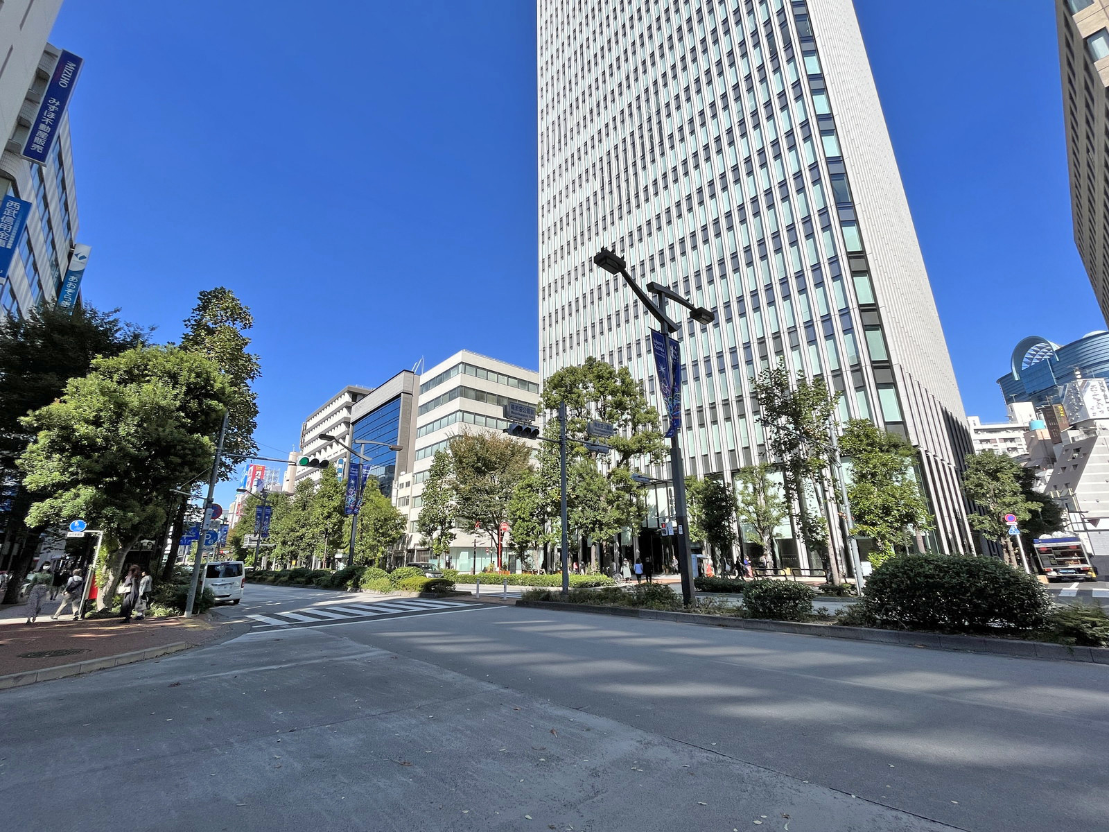 損保ジャパン南池袋日ビル前面のグリーン大通り