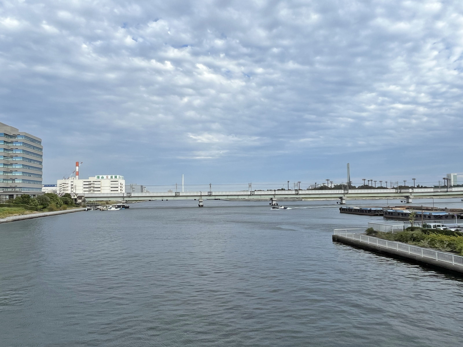近くを流れる東雲運河