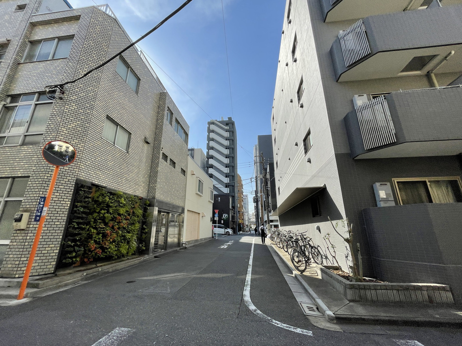 三光社本社ビル前面の通り
