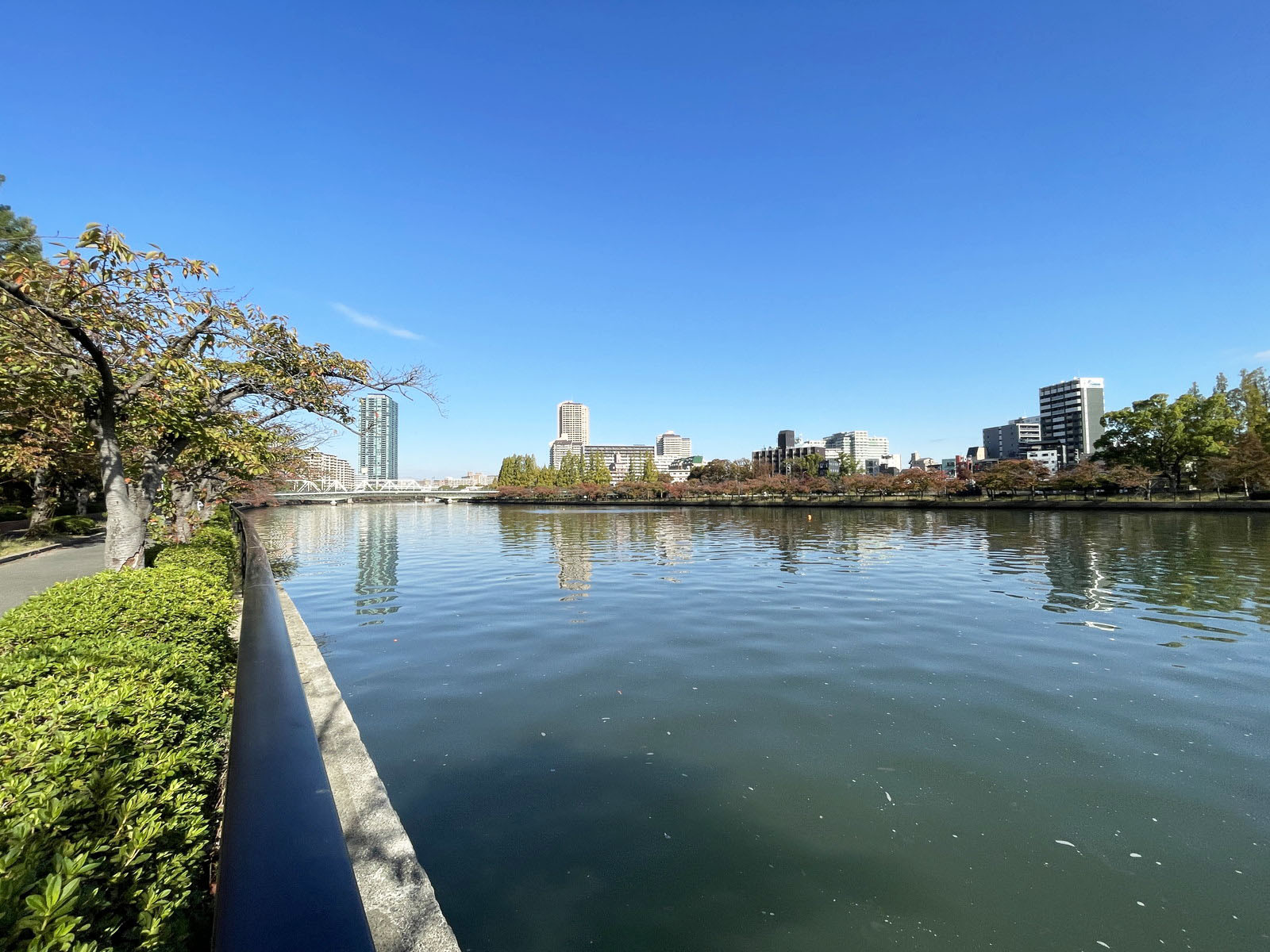 近くの大川