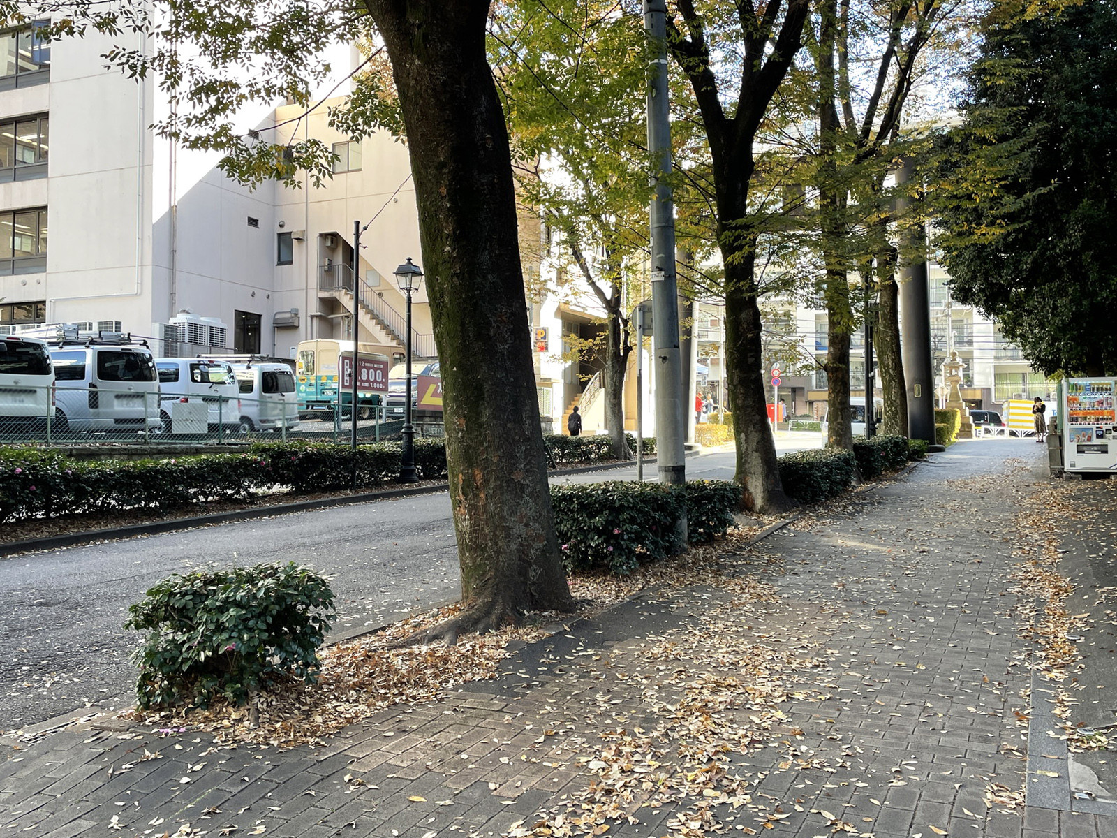アーバンセンター渋谷イースト前面の通り