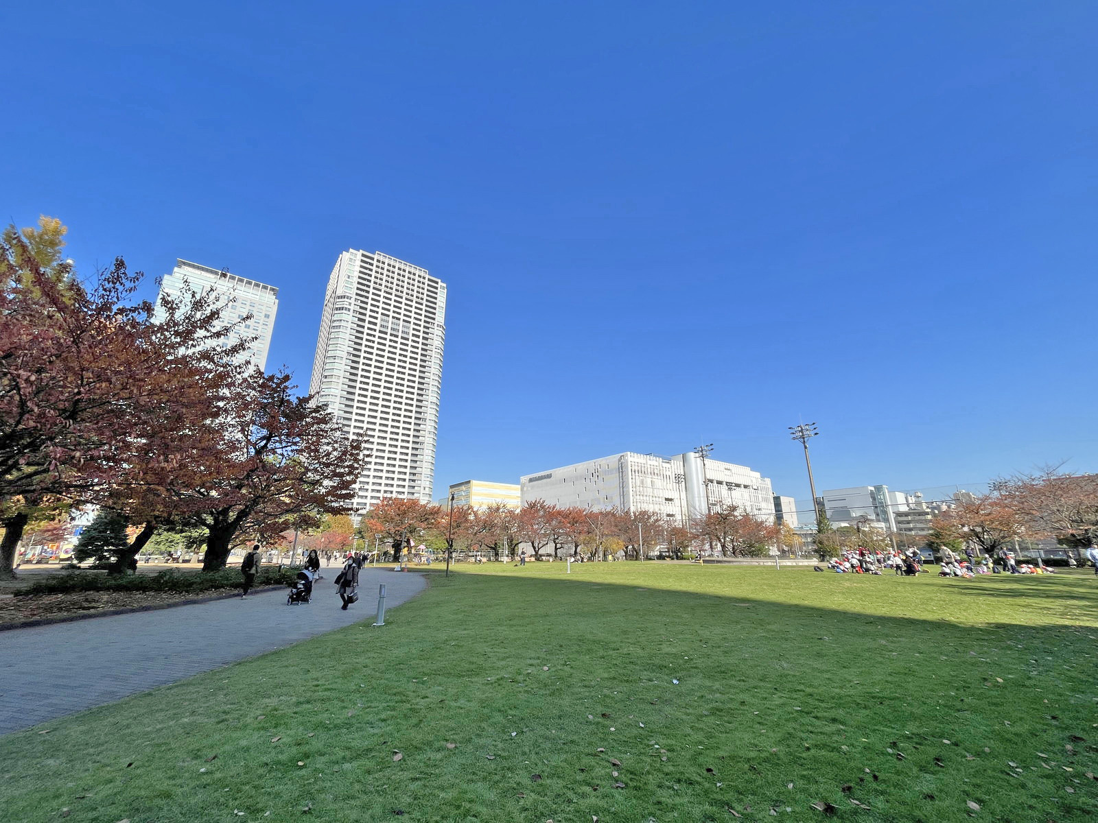 向かいの通りの錦糸公園