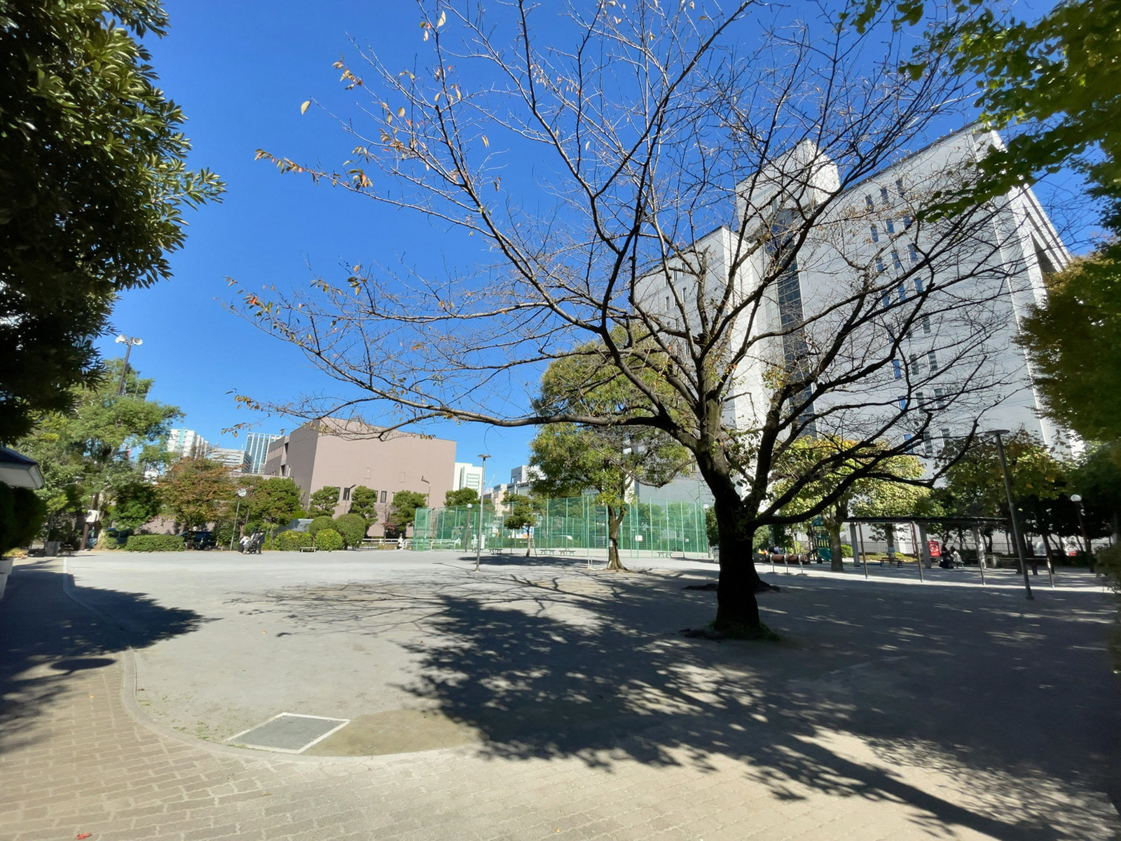 徒歩1分の品川区立東八ツ山公園