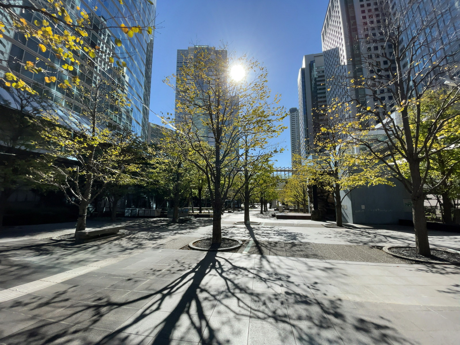 ビル前の港区立汐の公園