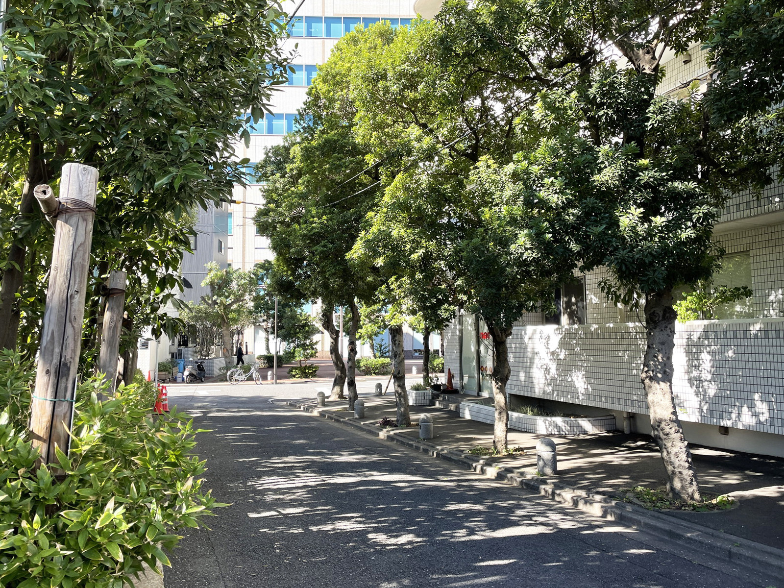 三和商事ビル前面の通り